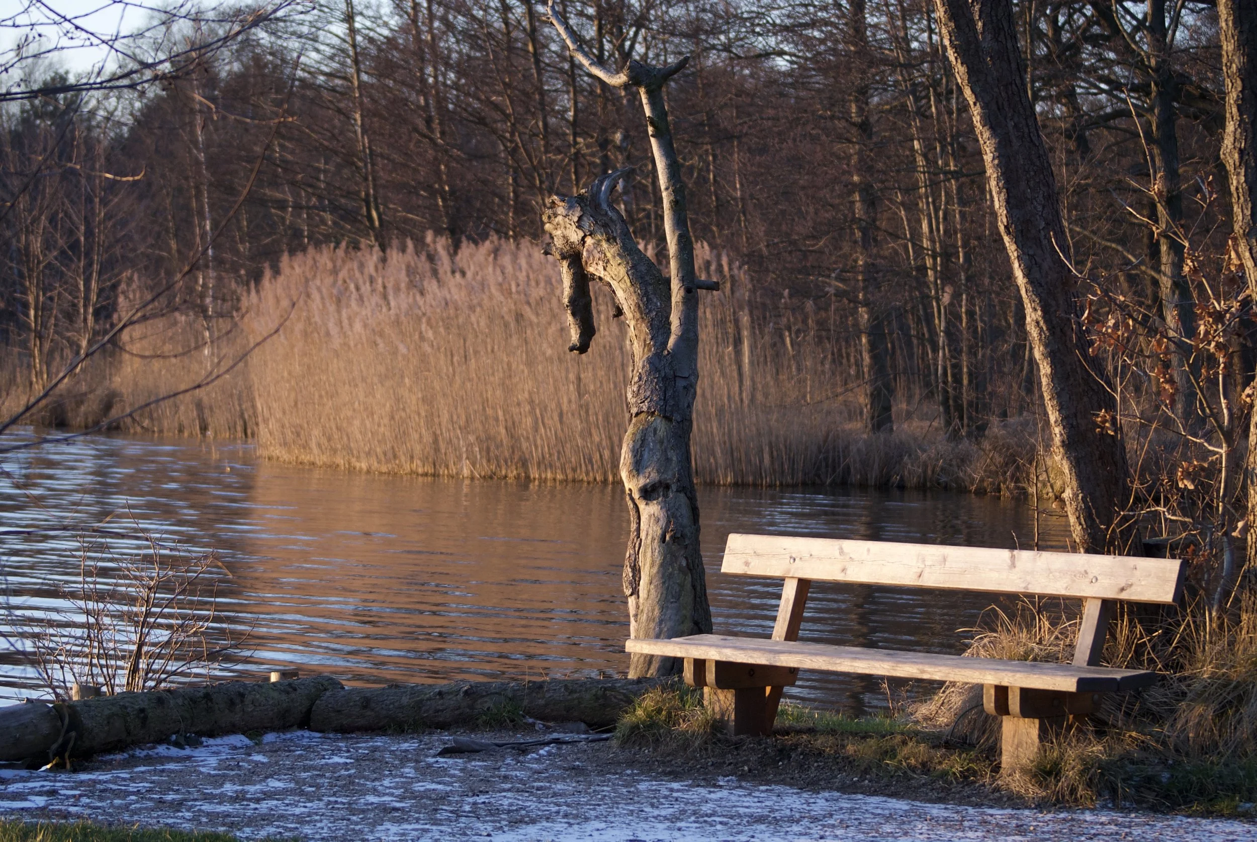 High Water - Lyngby Åmose, Kongens Lyngby, Denmark