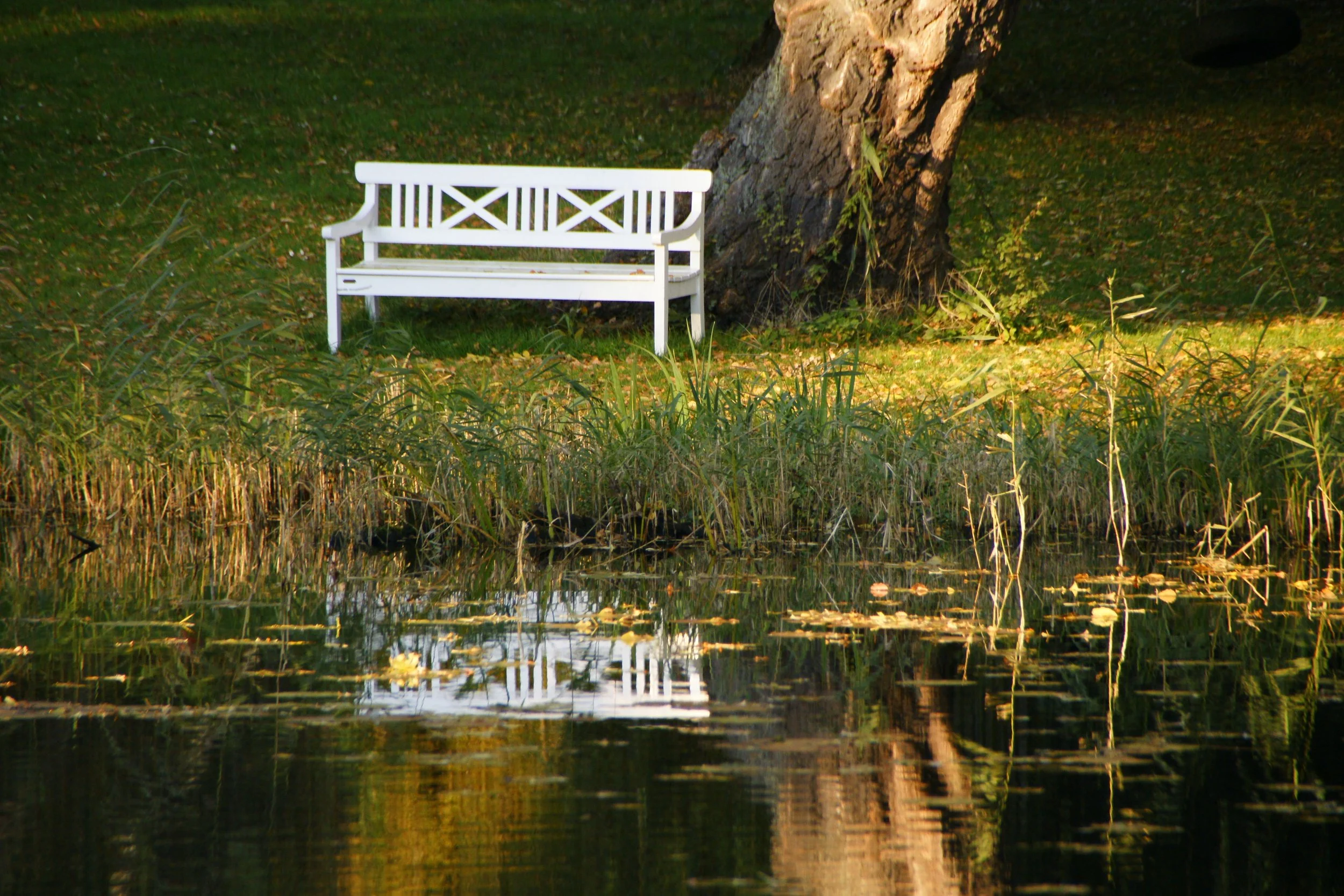Pondside - Kollelev Mose, Virum, Denmark