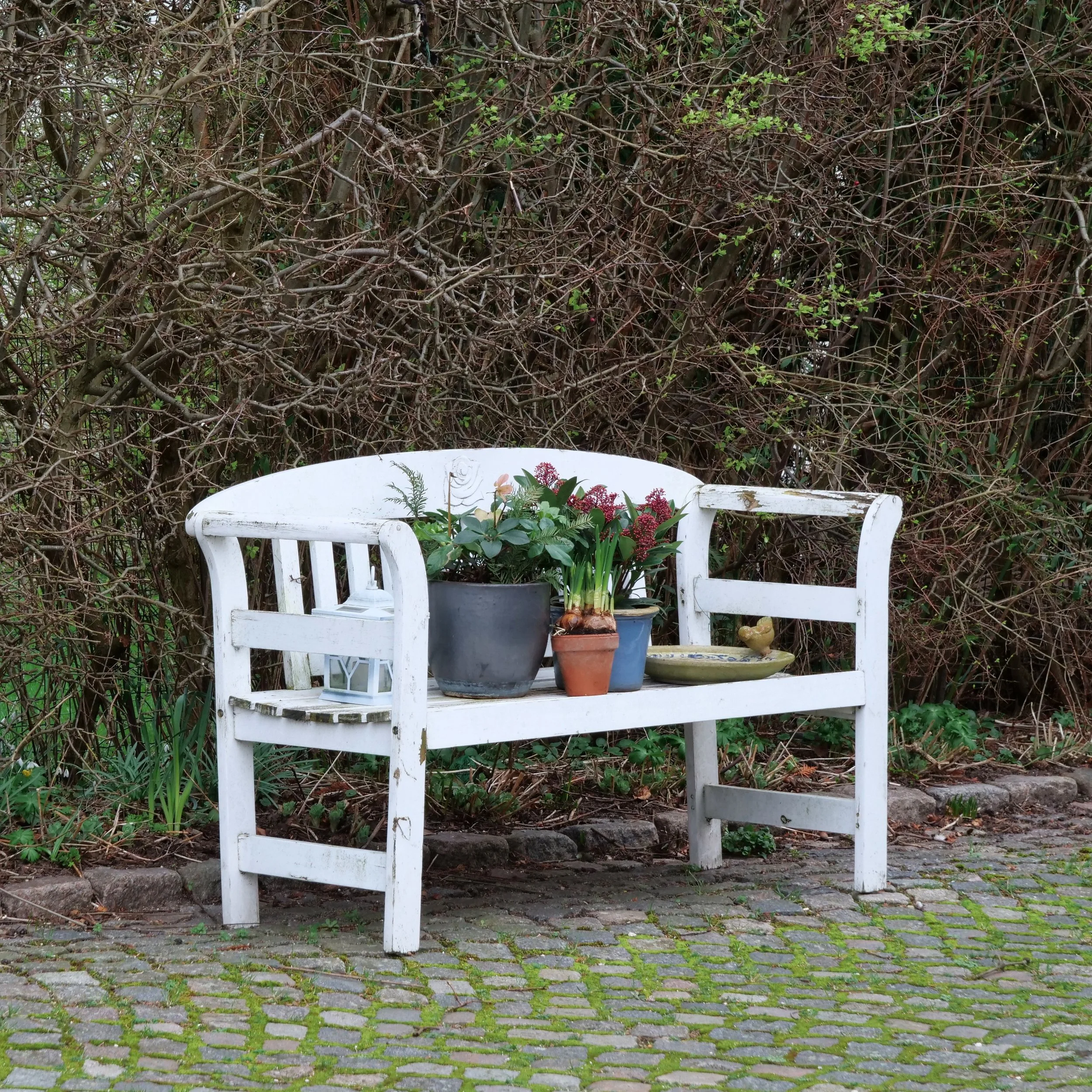 Place for Plants - Virum, Denmark