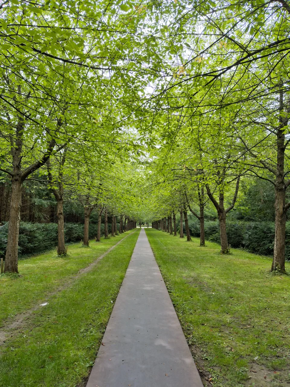 Allé through Copenhagen's Western Graveyard