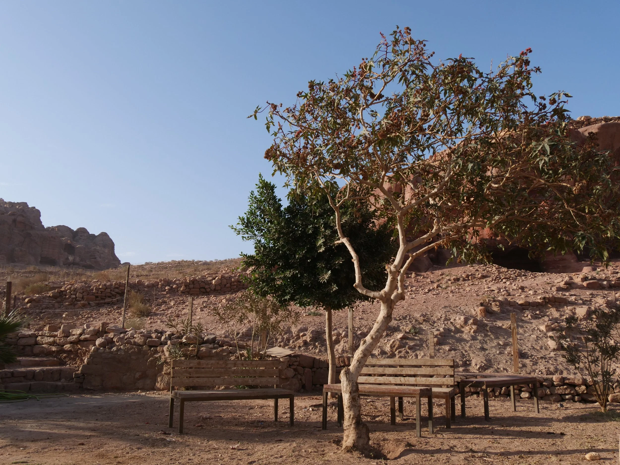 A Little Bit of Shade - Petra, Jordan
