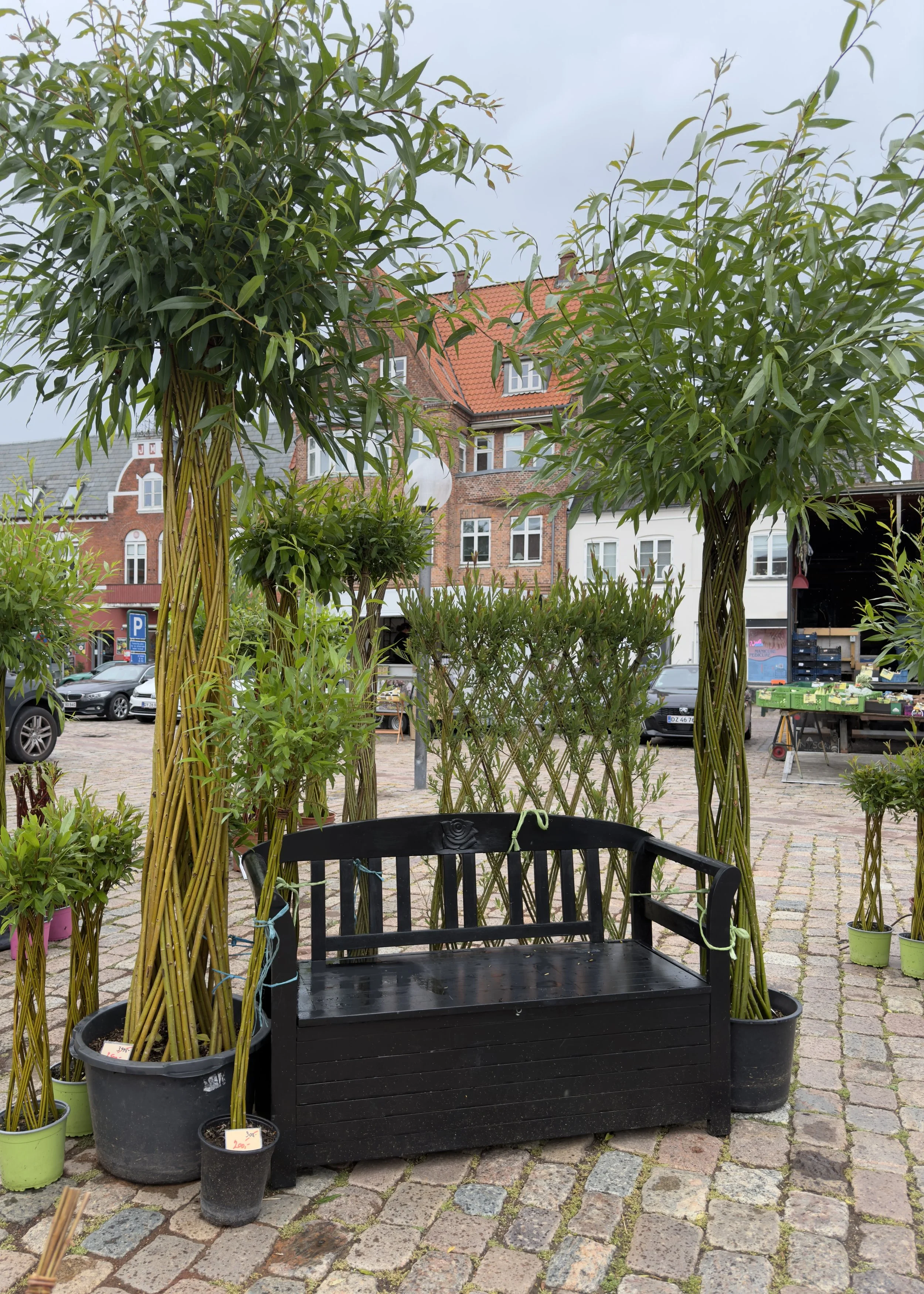 Within the Willows on Market Day - Køge, Denmark 