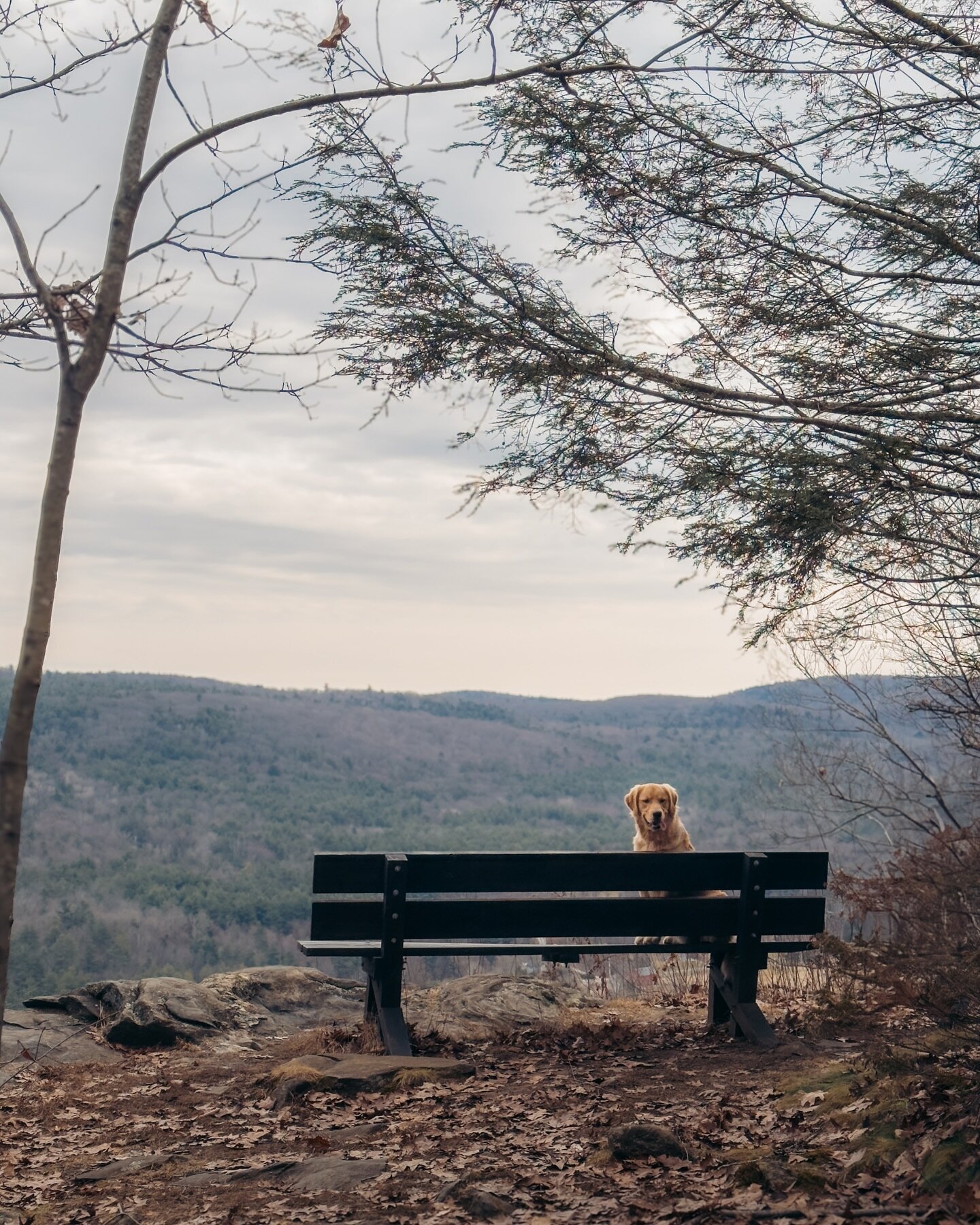 morning hike 🐾