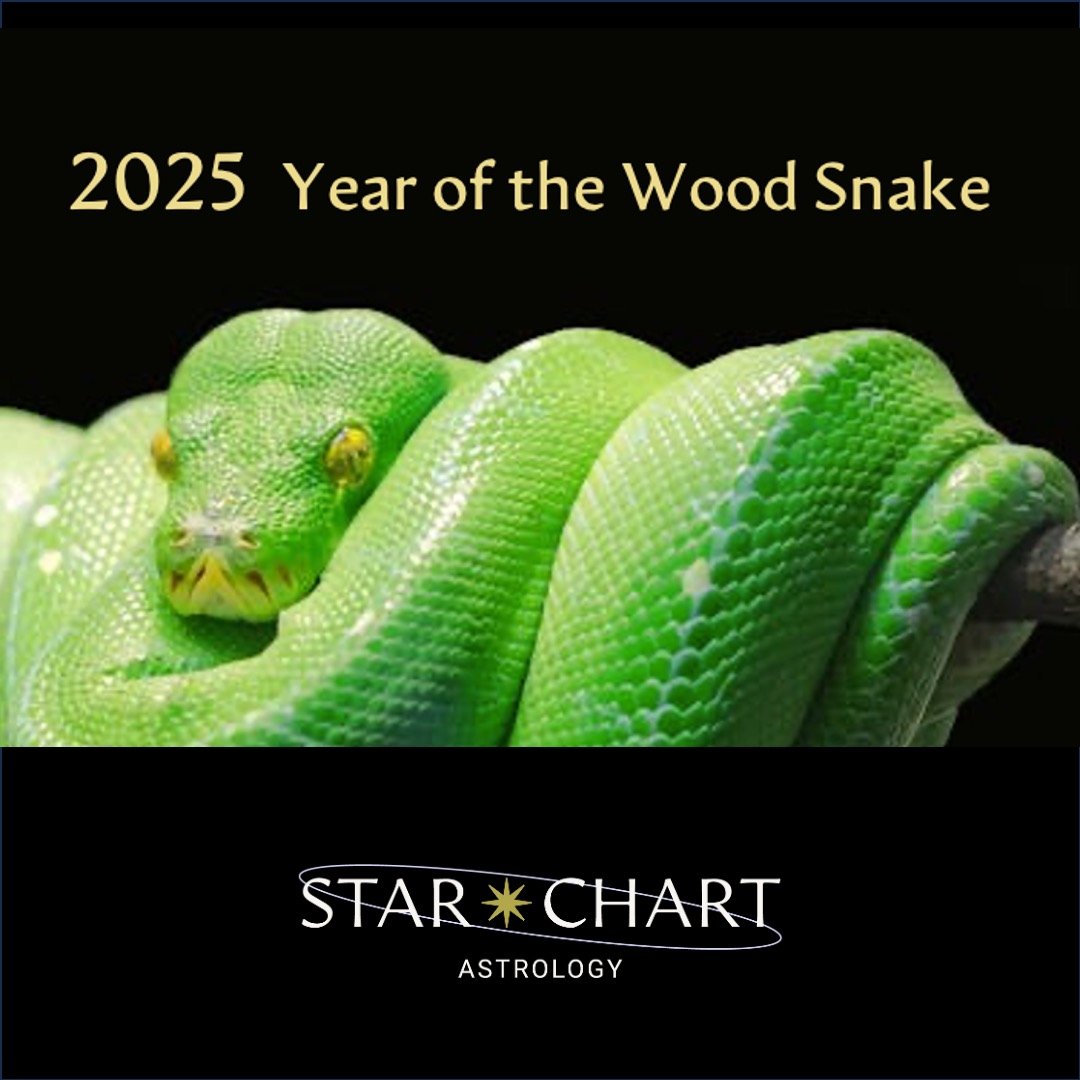 #yearofthesnake🐍 #lunarnewyear2025 #trustyourintuition #gowiththeflow #plutoinaquarius #astroadvice #embracechange #starchartastrology