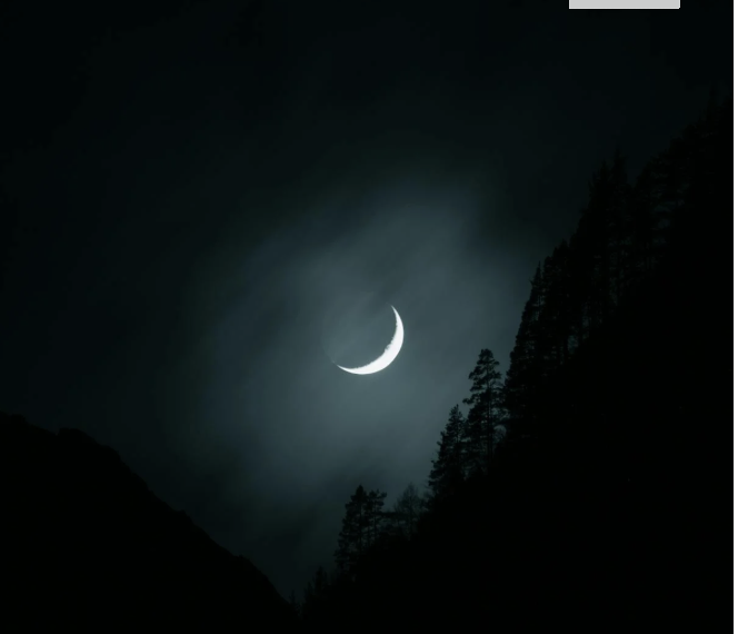 FREE GUIDE: Manifesting with the Moon!