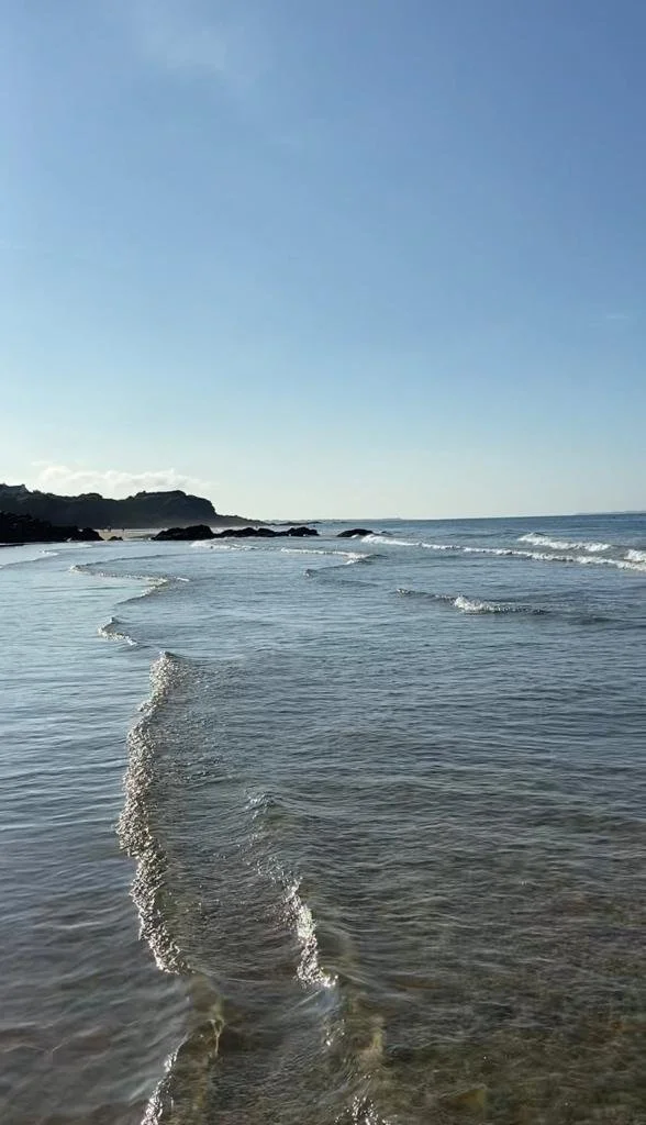 WhatsApp Image 2023-09-27 at 13.08.46.jpeg