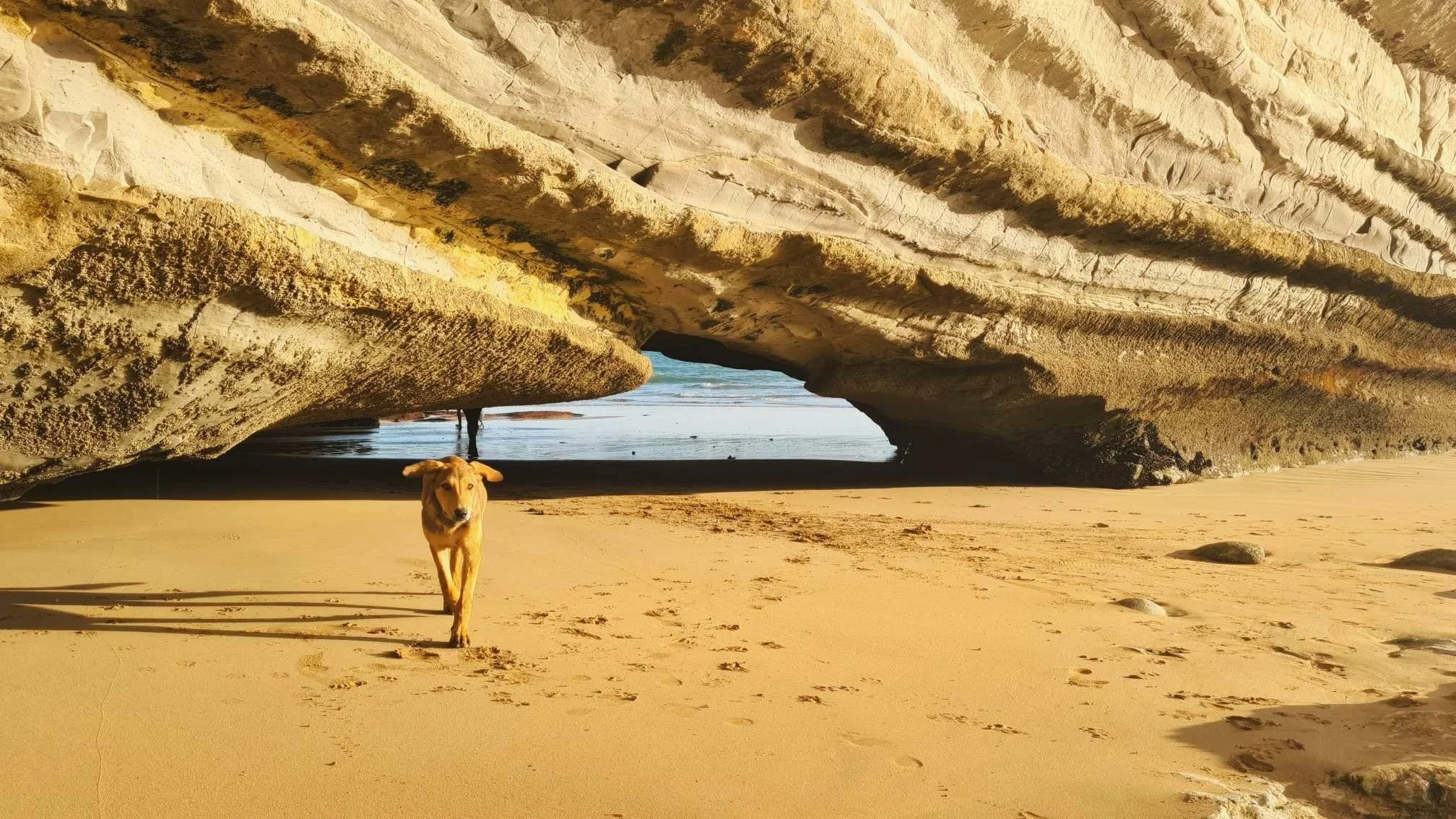 WhatsApp Image 2024-11-10 at 12.56.12.jpeg