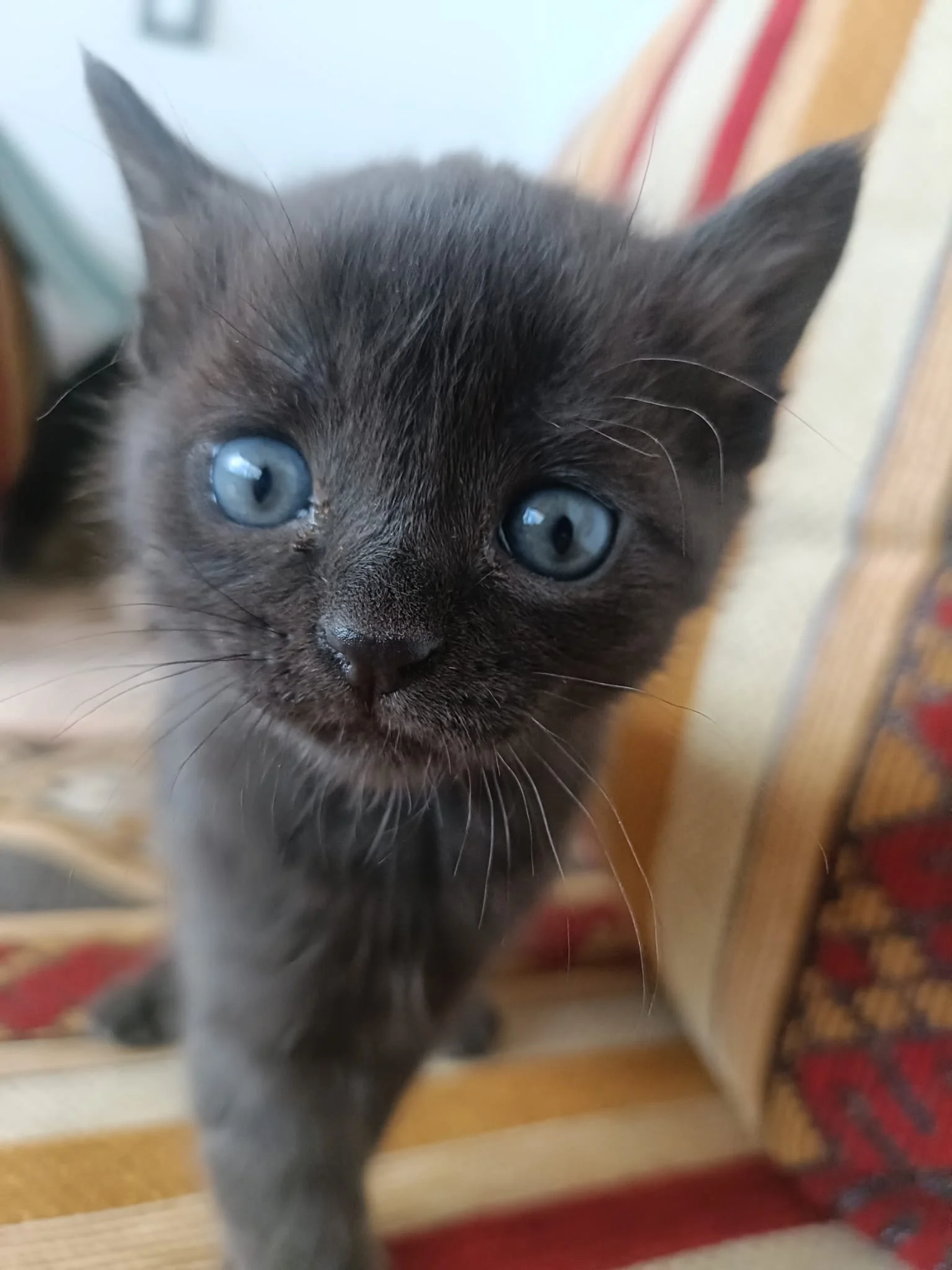 WhatsApp Image 2024-11-10 at 12.57.26.jpeg