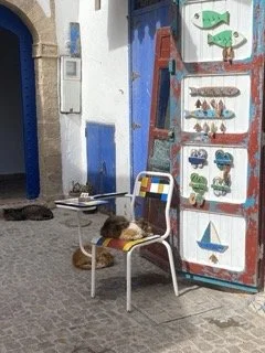 IMG_5393 Petite.jpeg