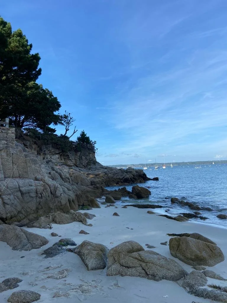 WhatsApp Image 2023-09-27 at 12.39.49.jpeg