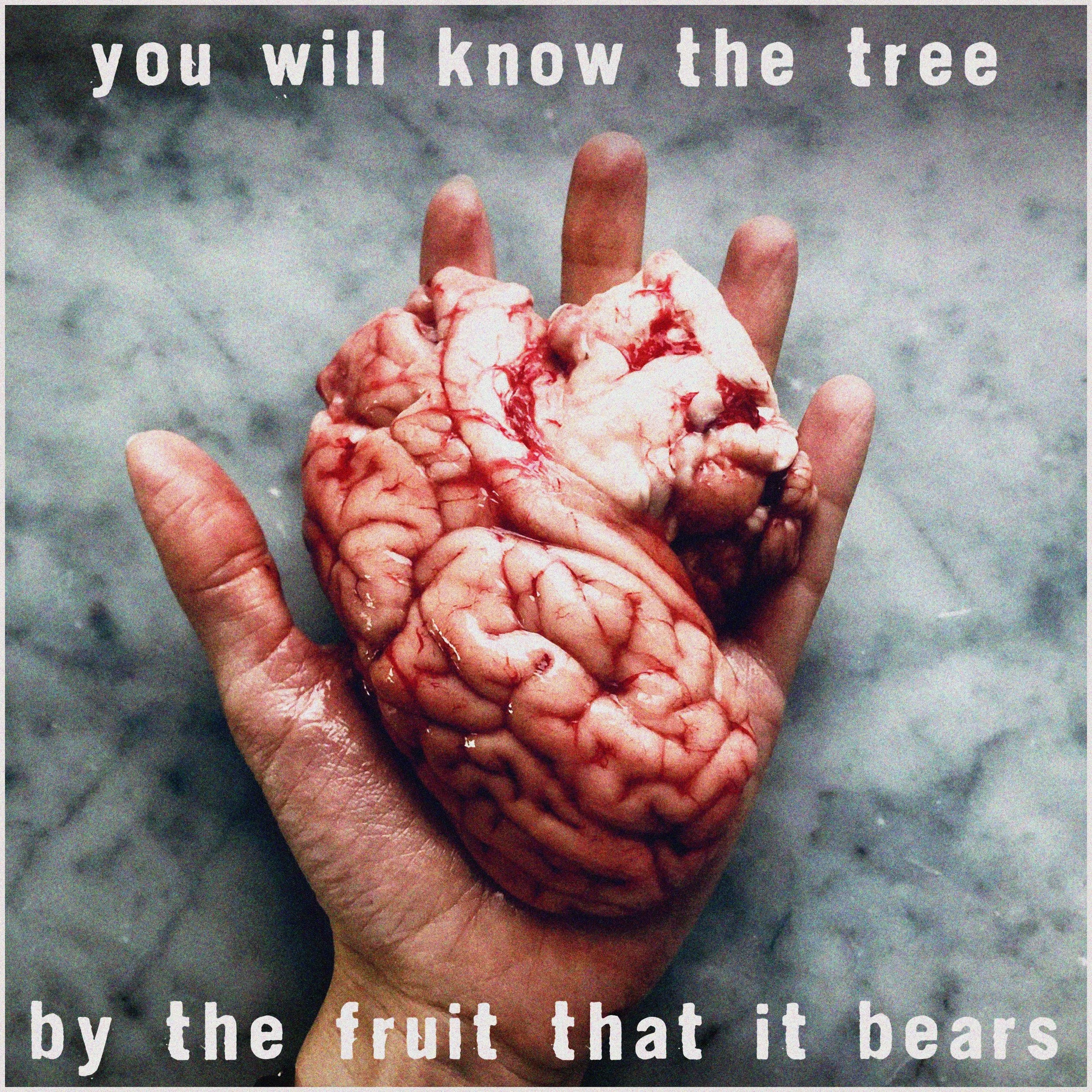 New Album