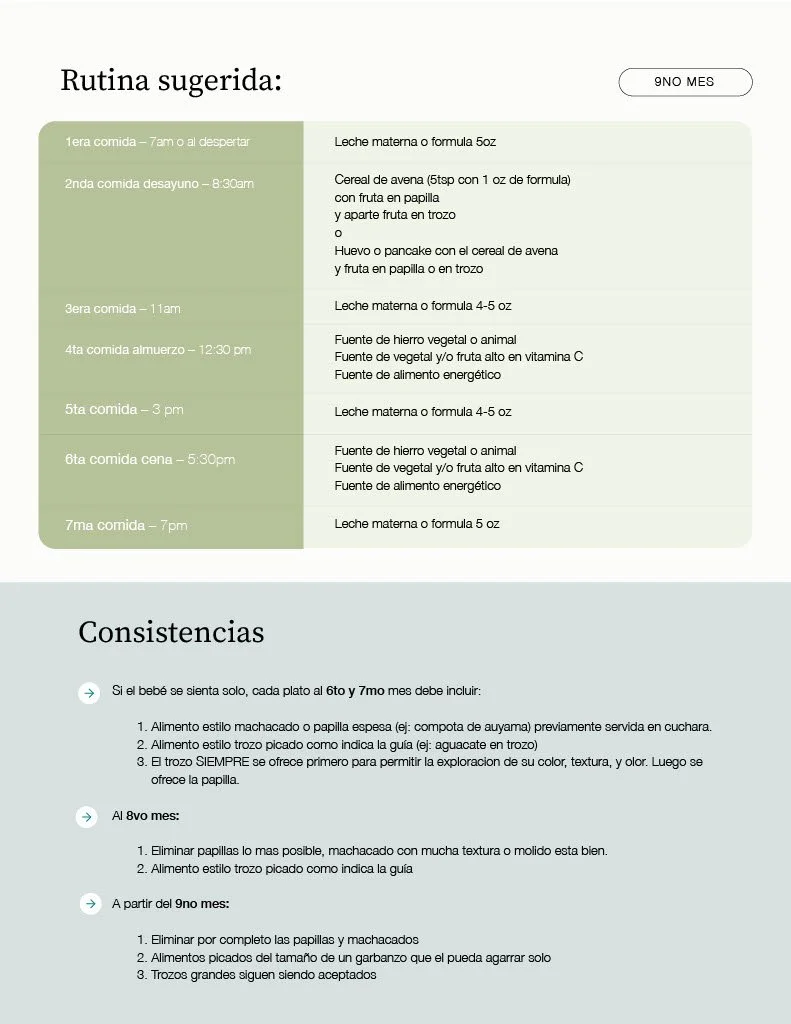 1726506860703-4c4816f8-e127-4089-81cc-f460fddfd8dd Federcia 6 meses copy (1)_26.jpg