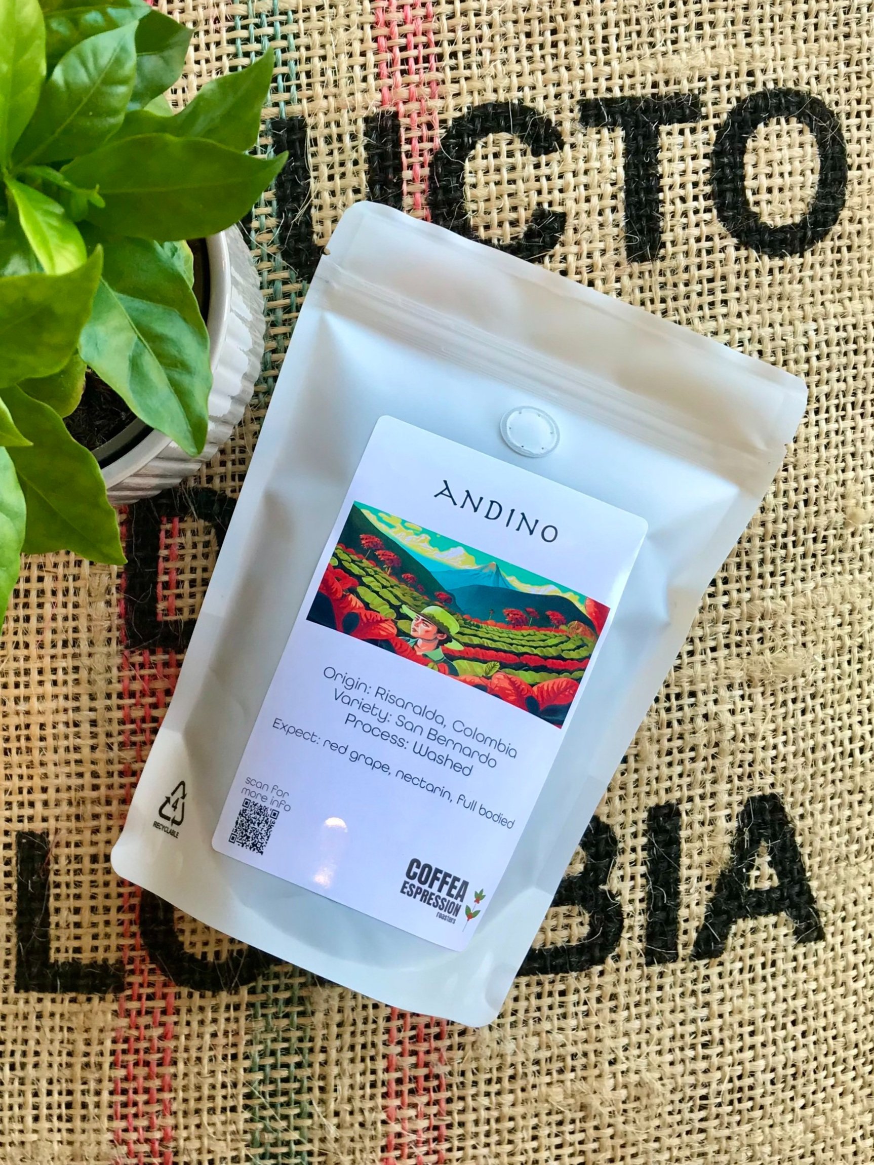 ANDINO (250g)