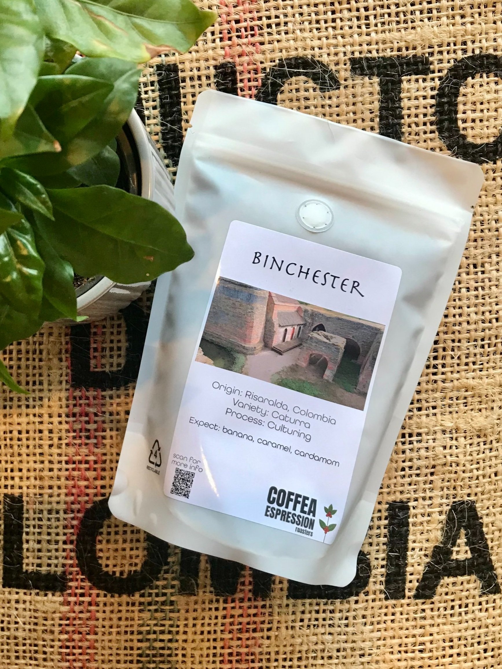 BINCHESTER (250g)
