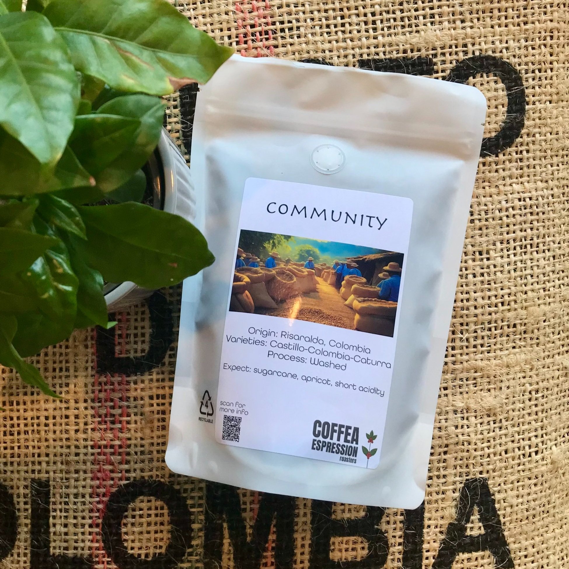 COMMUNITY (250g)