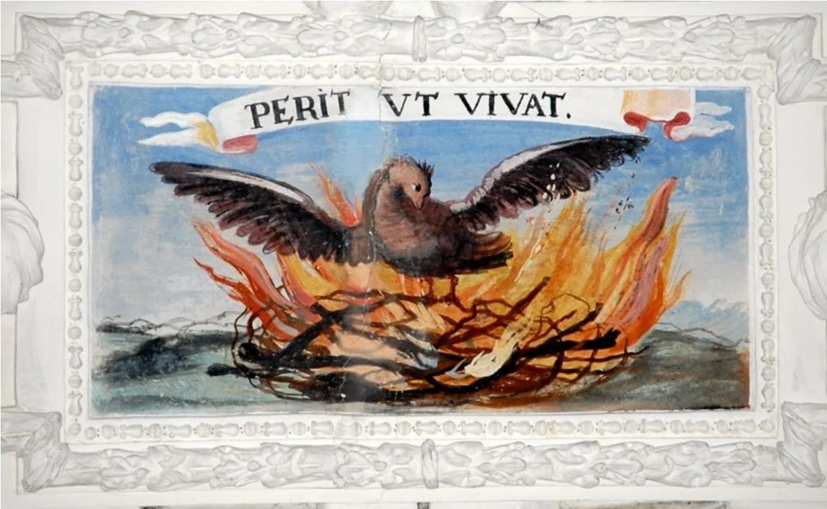 perit ut vivat carte.jpg