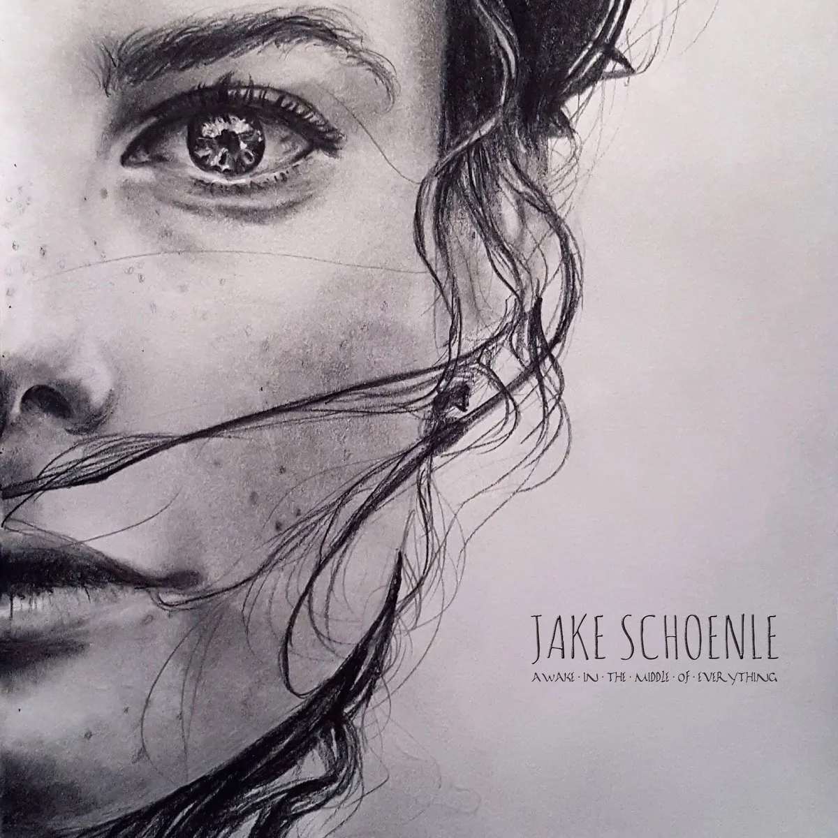 Jake Schoenle - Awake in the Middle of Everything
(Credits: Engineering, Mixing)