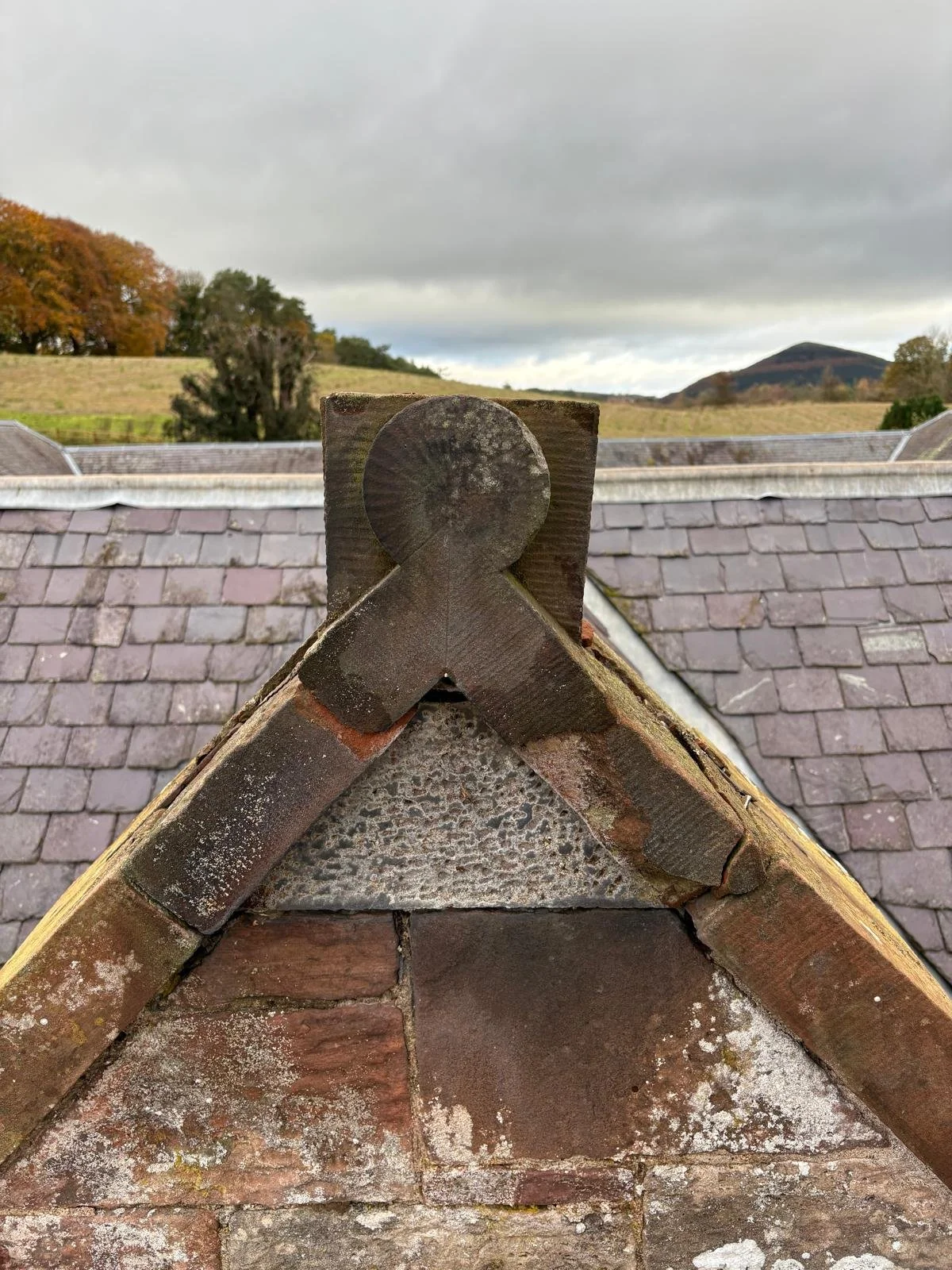 WhatsApp Image 2025-12-09 at 15.24.49.jpeg