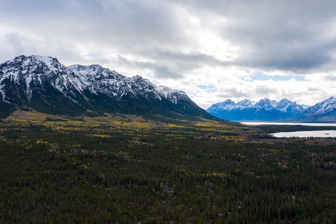 Beauty of the Land

Gorgeous shots of both Xeni Gwet&rsquo;in and Yunesit&rsquo;in land this spring.