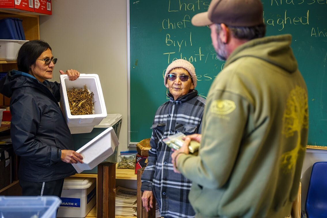 Elders from Yunesit&rsquo;in sharing traditional knowledge with Victor Steffensen of @firesticks.alliance.network. Our work could not exist without this sharing of knowledge through generations.

#indigenous #wildfire #bcwildfire 
#ngo #gatheringvoic