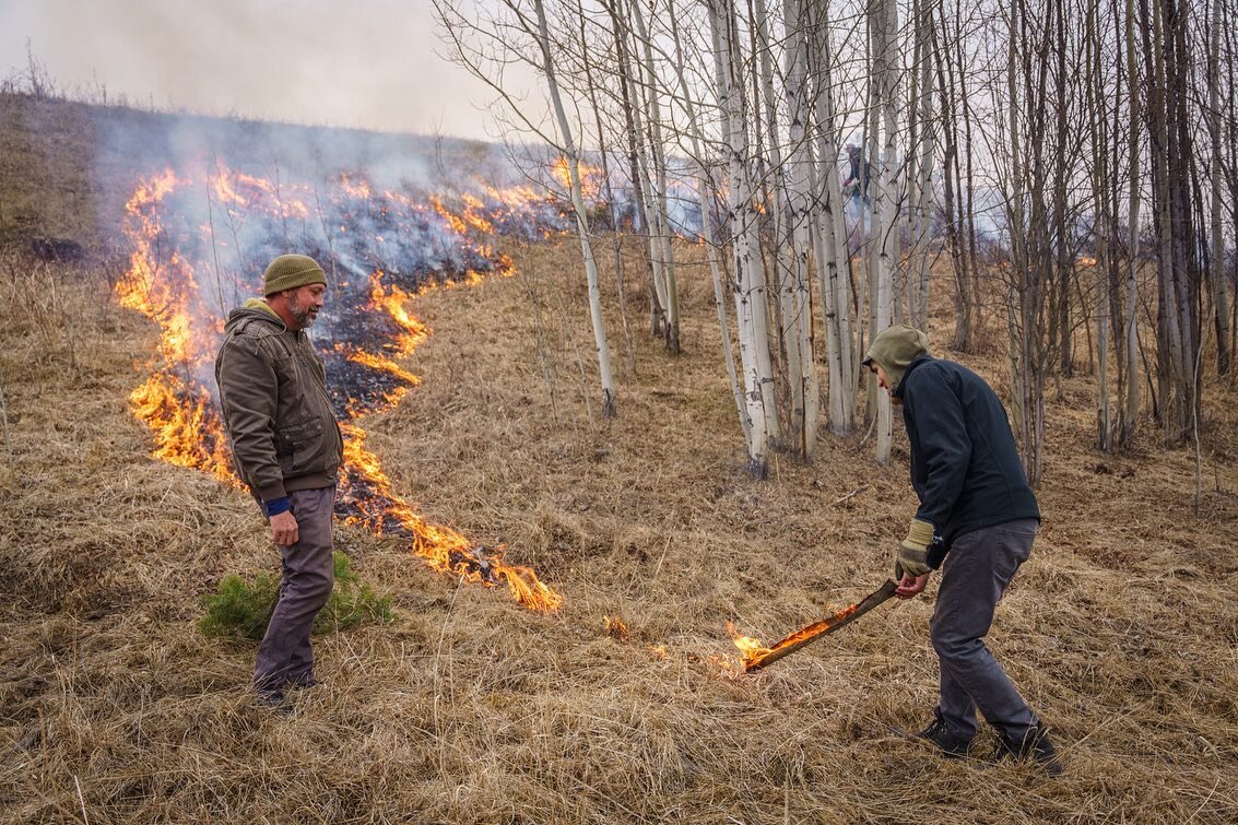 Our Spring Burns 1/2
Gathering Voices Society is thinking about the current wildfires in Northern BC and Alberta. 
Here, we apply fire to heal a fire-damaged aspen stand.