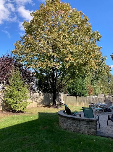 A backyard with a large tree, a wooden fence, and a stone patio with outdoor furniture under a partly cloudy blue sky.