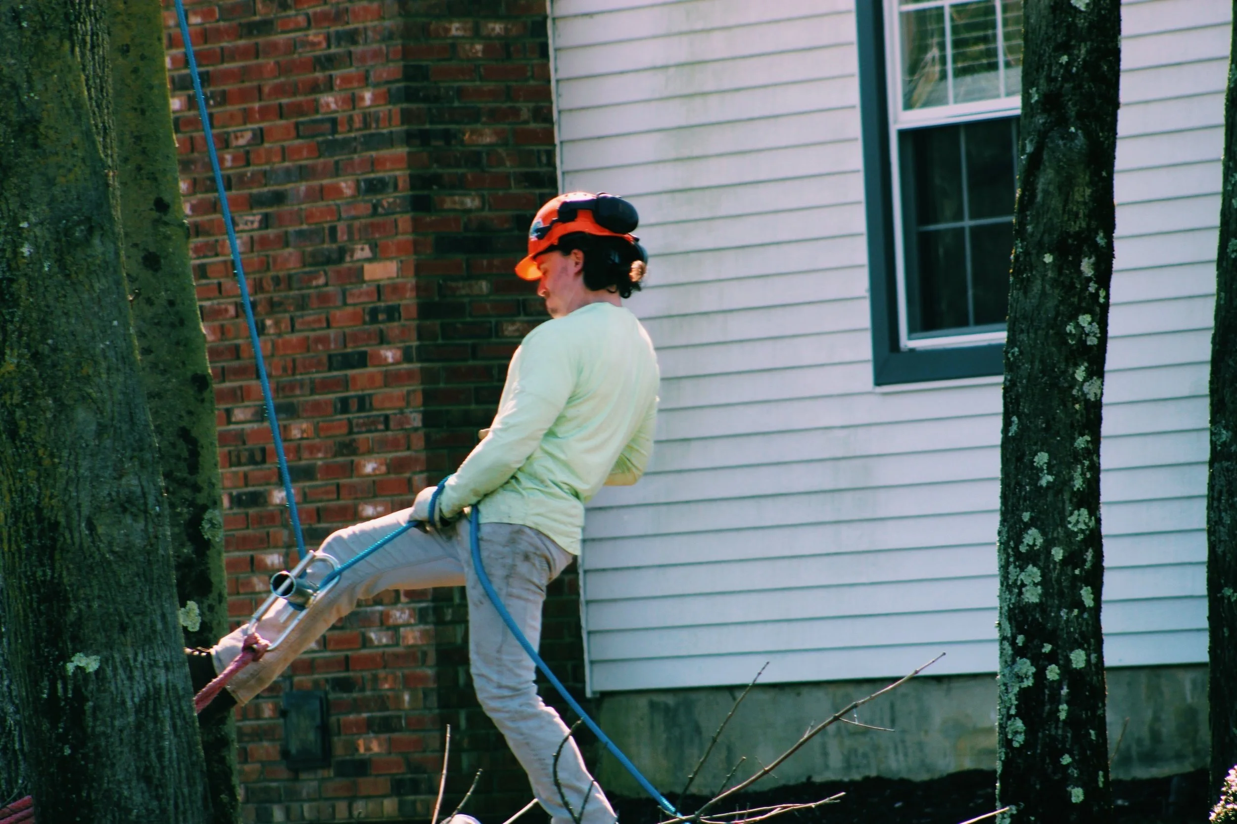 A person wearing a safety helmet and harness working outdoors near a tree and a house, using a rope for support.