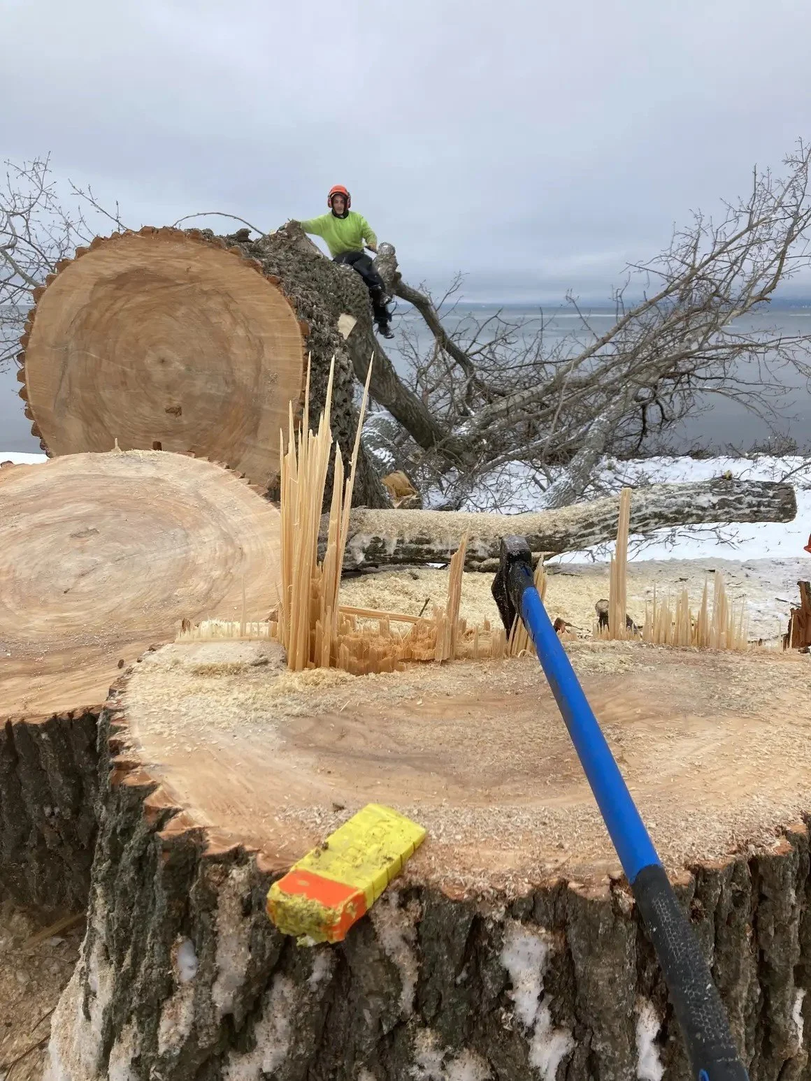 A person sitting on a large chopped tree trunk wearing a green jacket and orange helmet, with a snowy landscape in the background, and a large fallen tree in the foreground with fresh saw cuts and a blue-handled axe lodged in the wood.