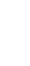 Silhouette of a tall pine tree against a plain background