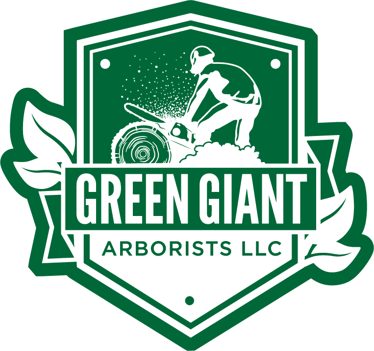 Green Giant Arborists | Vermont Tree Care