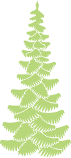A green Christmas tree with branches decorated with lights and ornaments