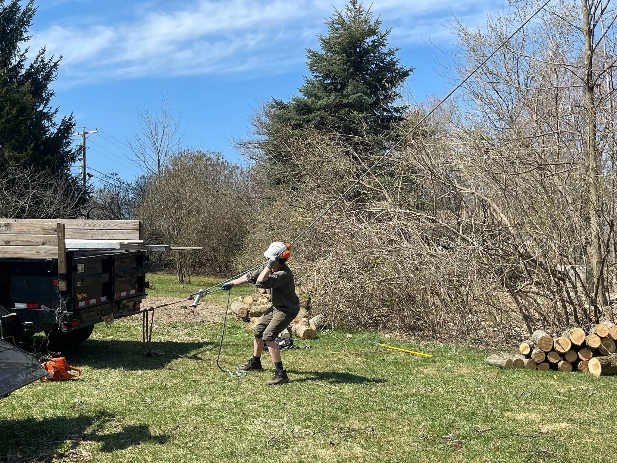 Person operating a chainsaw to cut a fallen tree in a yard during daytime.