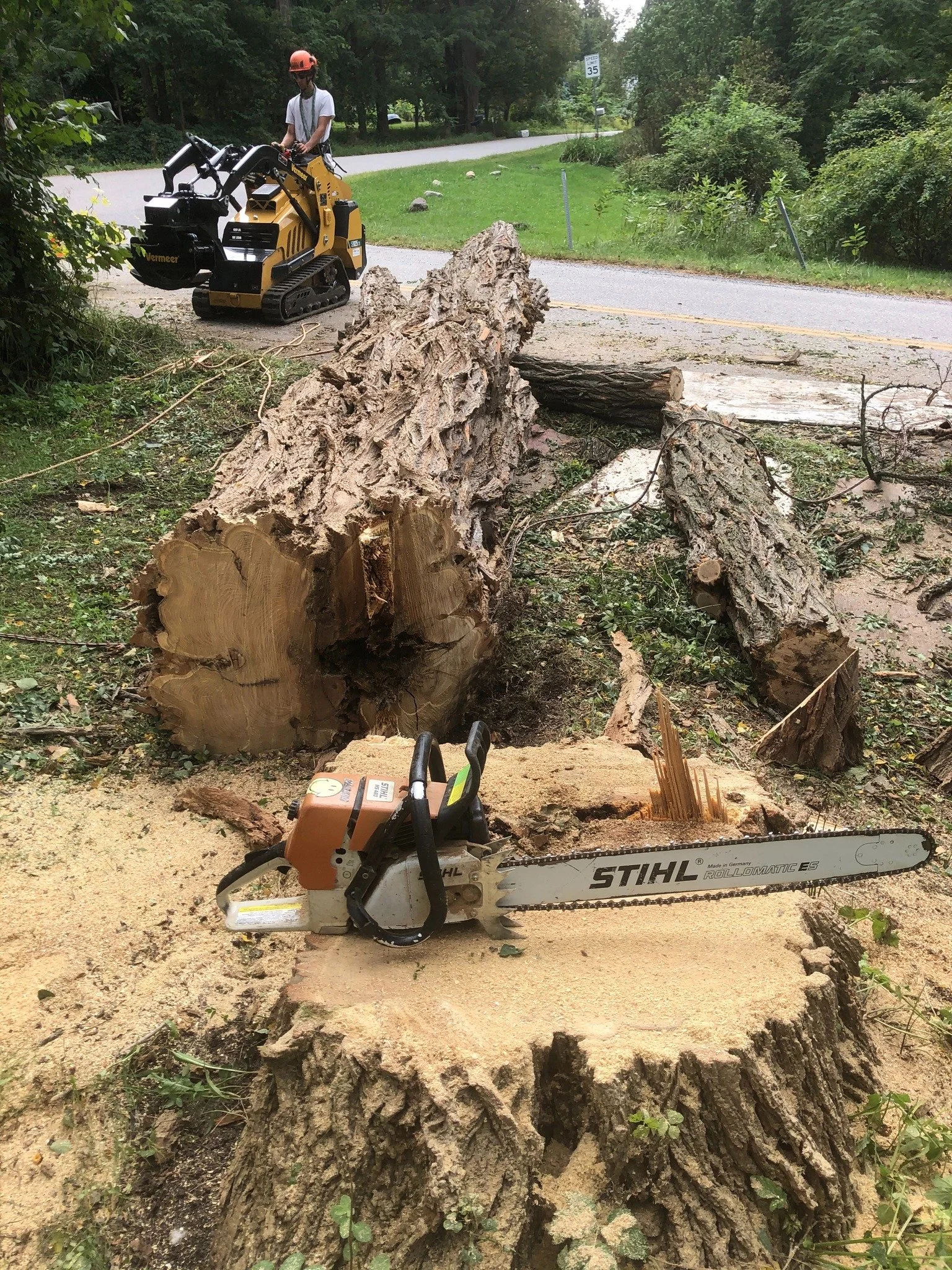 A person wearing a white T-shirt and an orange helmet operating a yellow stump grinder on a dirt area next to a fallen large tree trunk on a roadside with green trees surrounding.