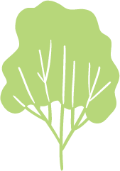 Illustration of a green tree with multiple branches and a rounded canopy
