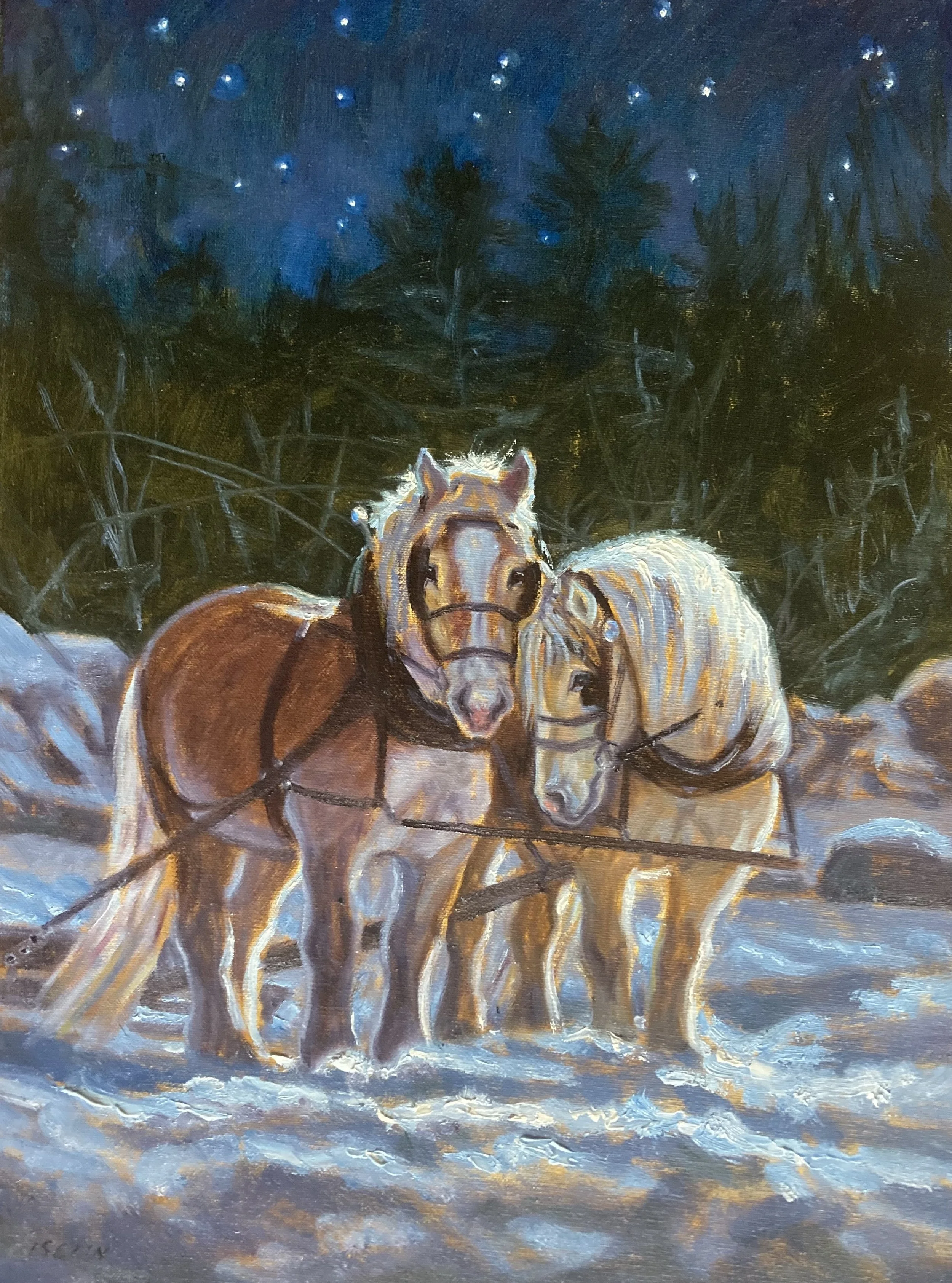 Under the Night Stars 11x14.jpeg