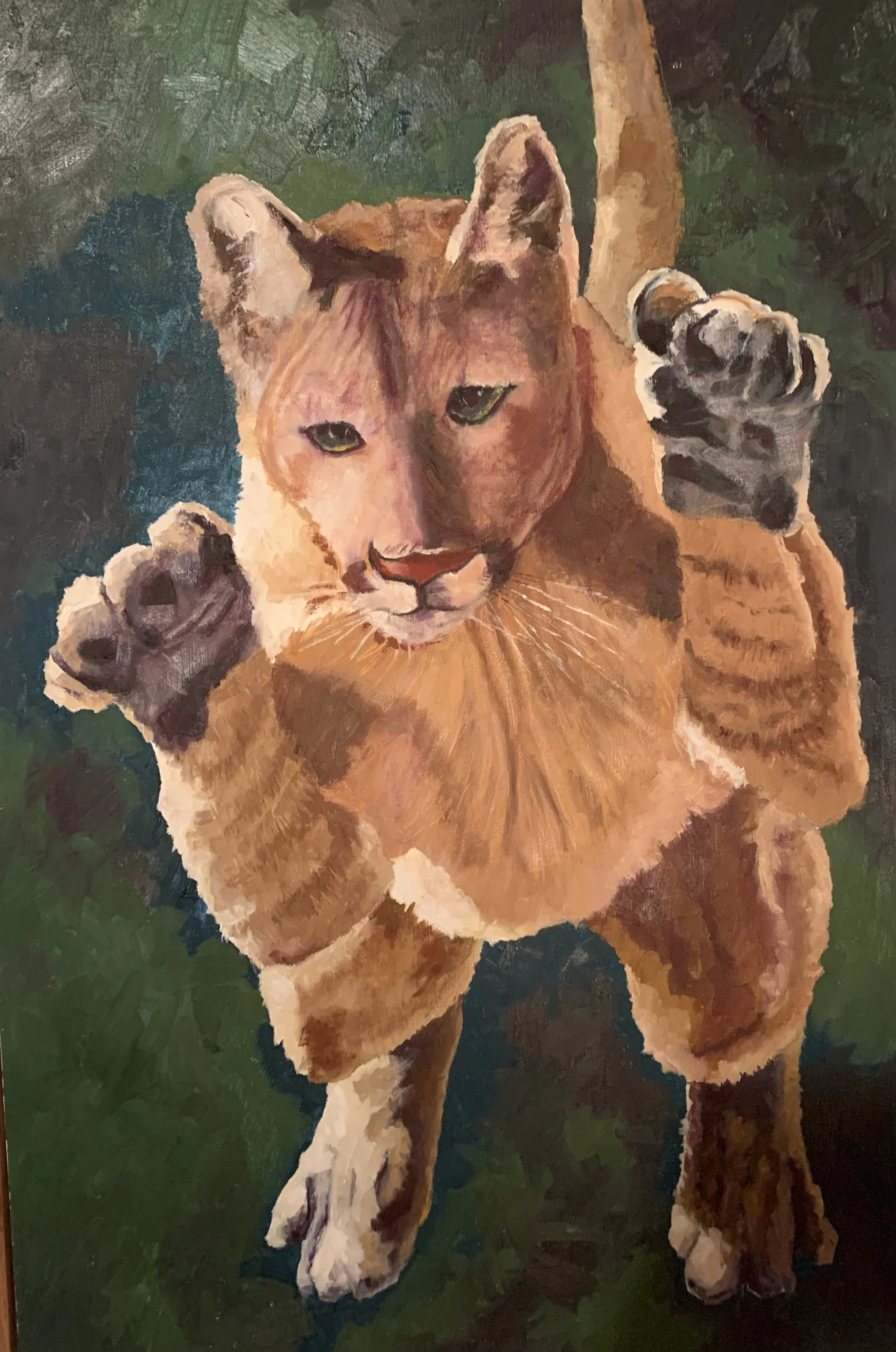 david bulger cat .jpg