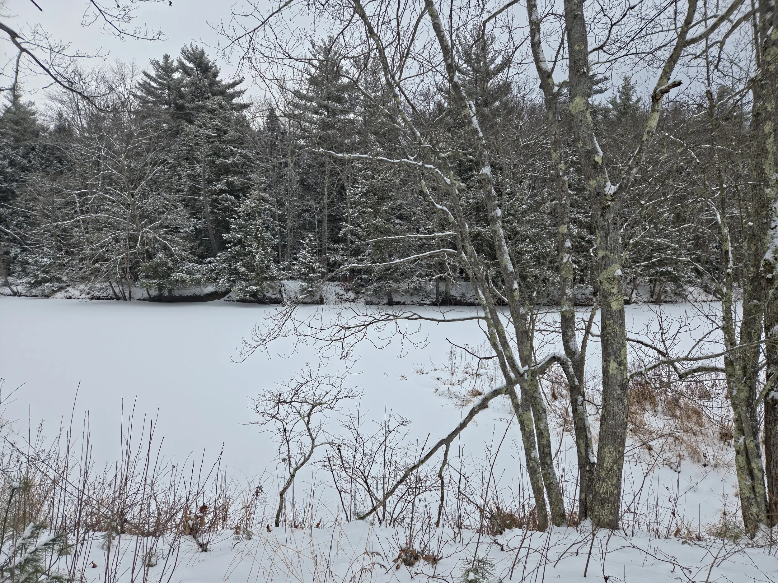 March Art Exhbition Opening Reception