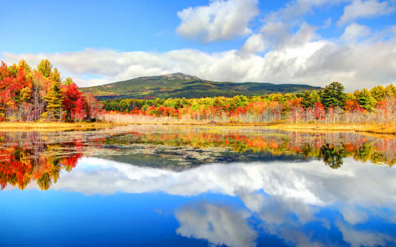 October Art Exhibit- Opening Reception 