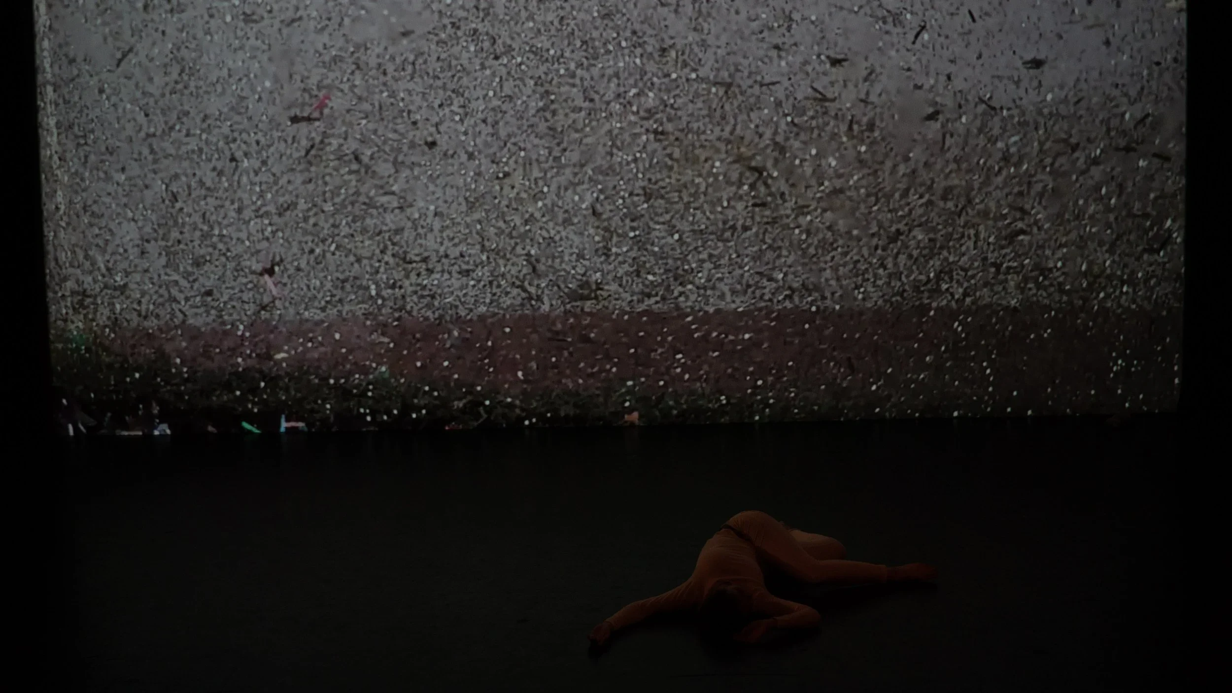 Shadow+Box+ending+Dixon+Place+2018.webp