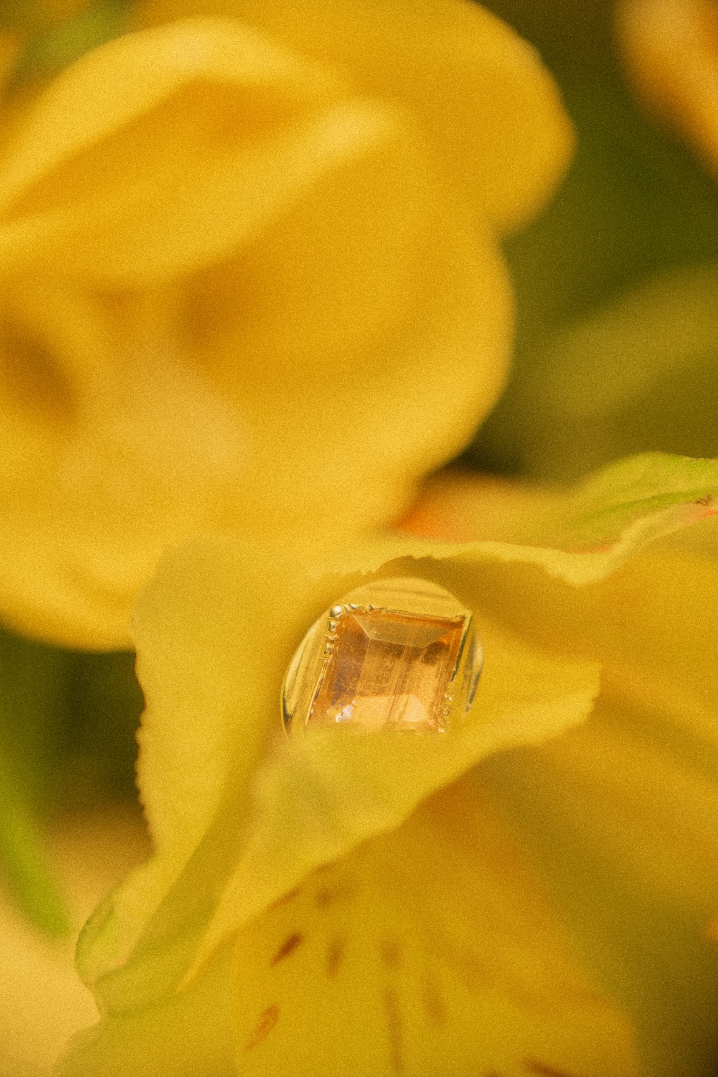 DSCF8313.jpg