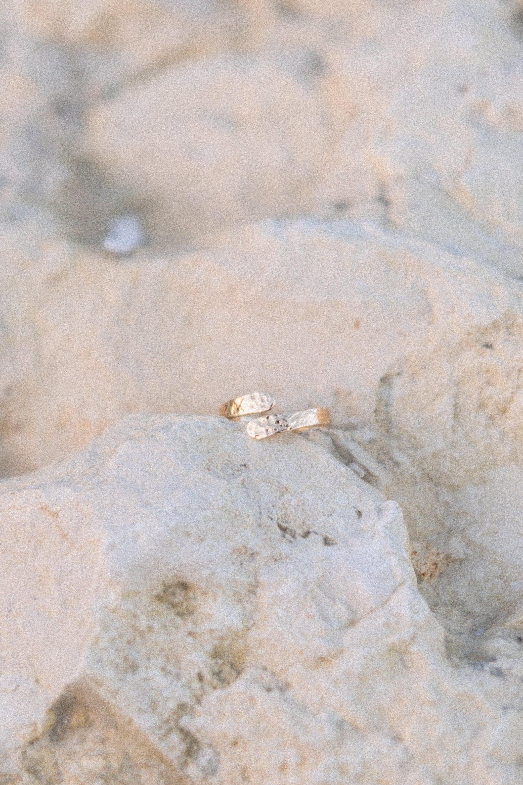 DSCF6599-2.jpg