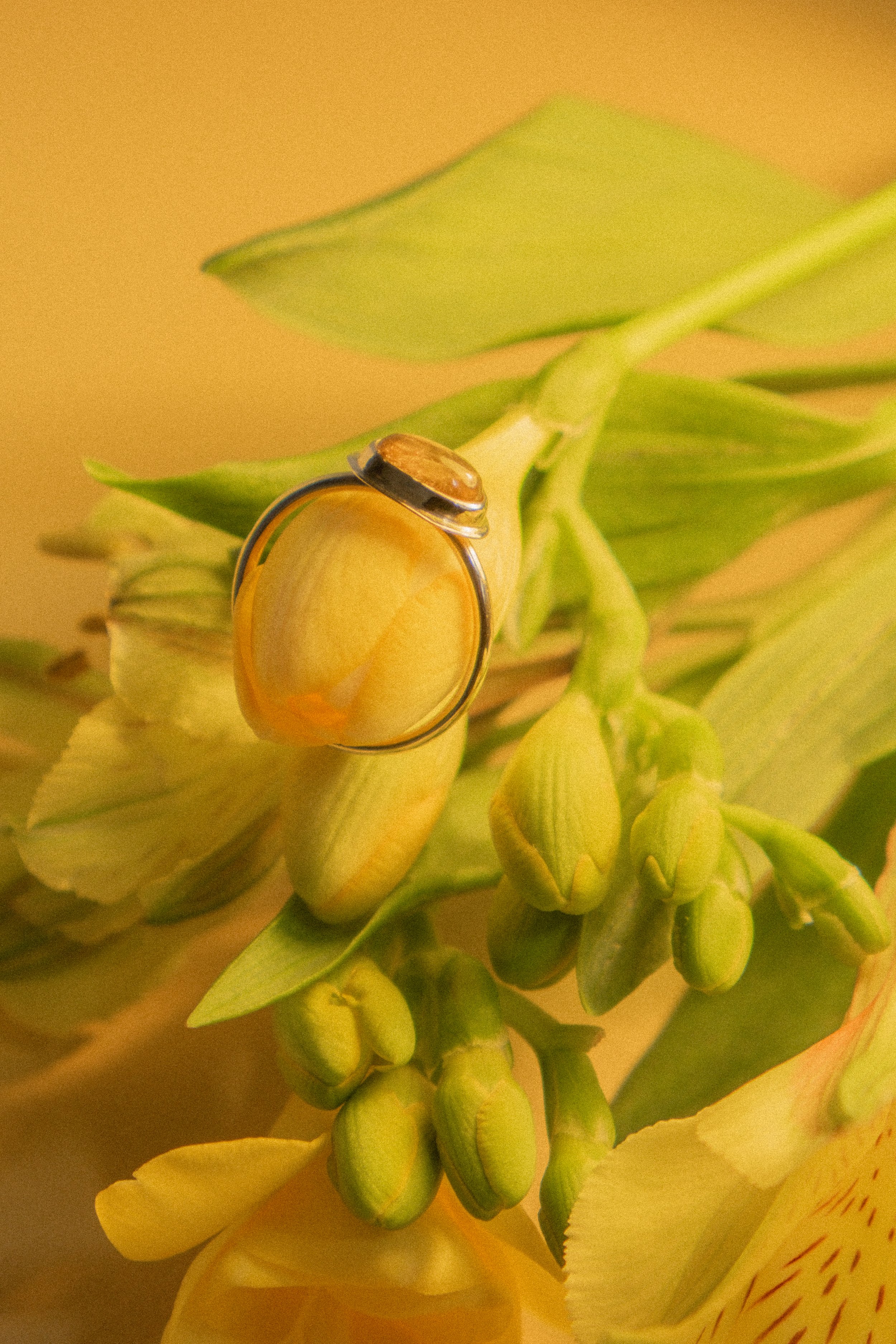 DSCF8176.jpg