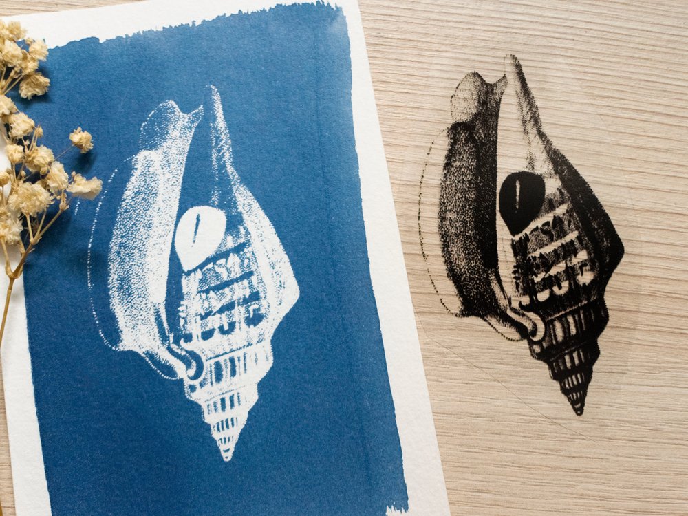 Cyanotype kit  Create cyanotype art - Paperfulshop