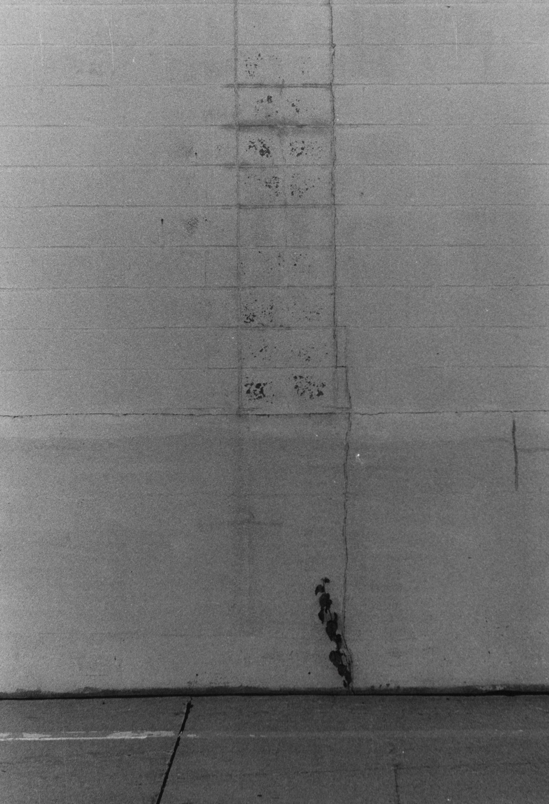 Great expectations. Cedar Rapids, Iowa.jpg