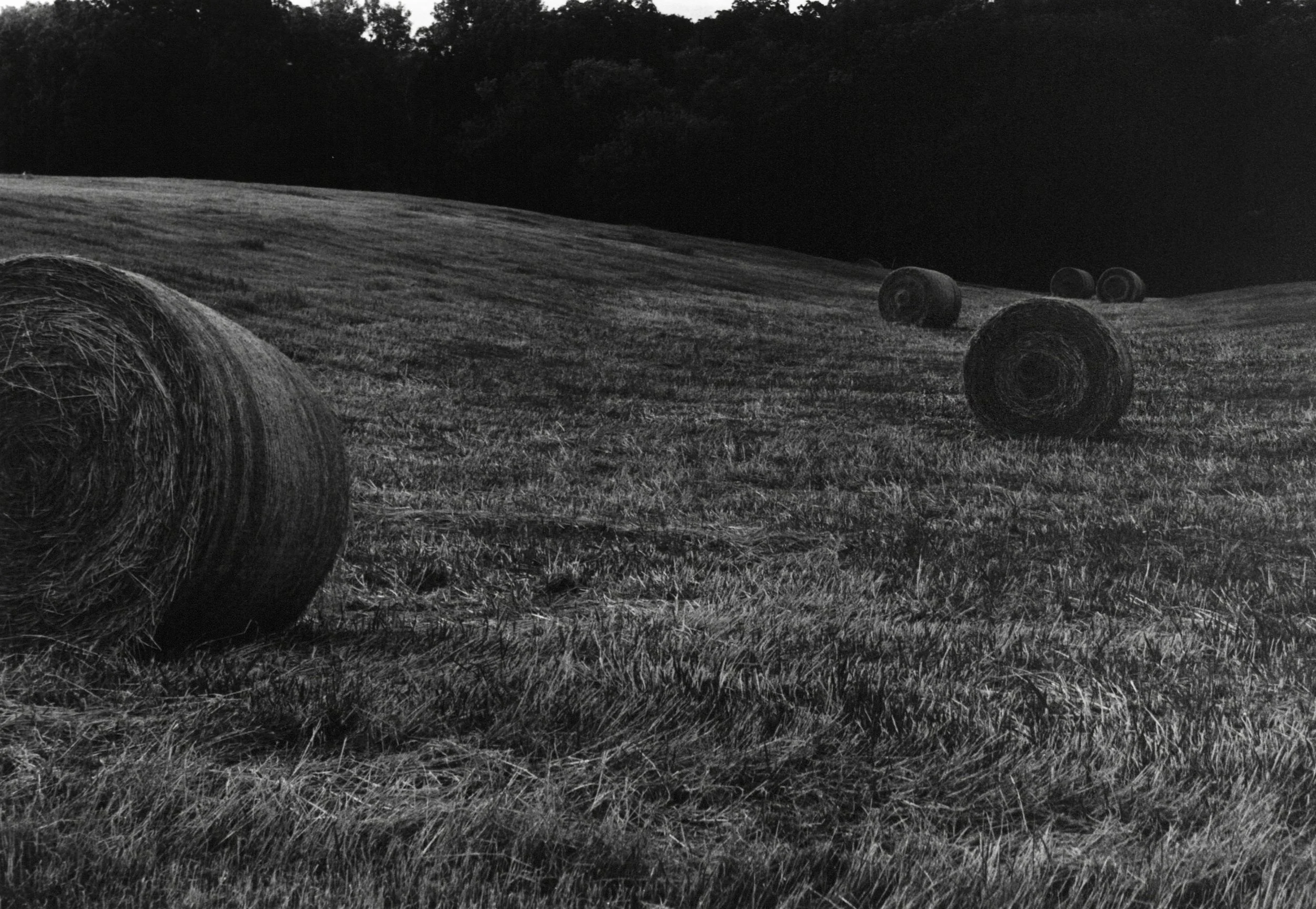 Pastoral. Ames, Iowa.jpg