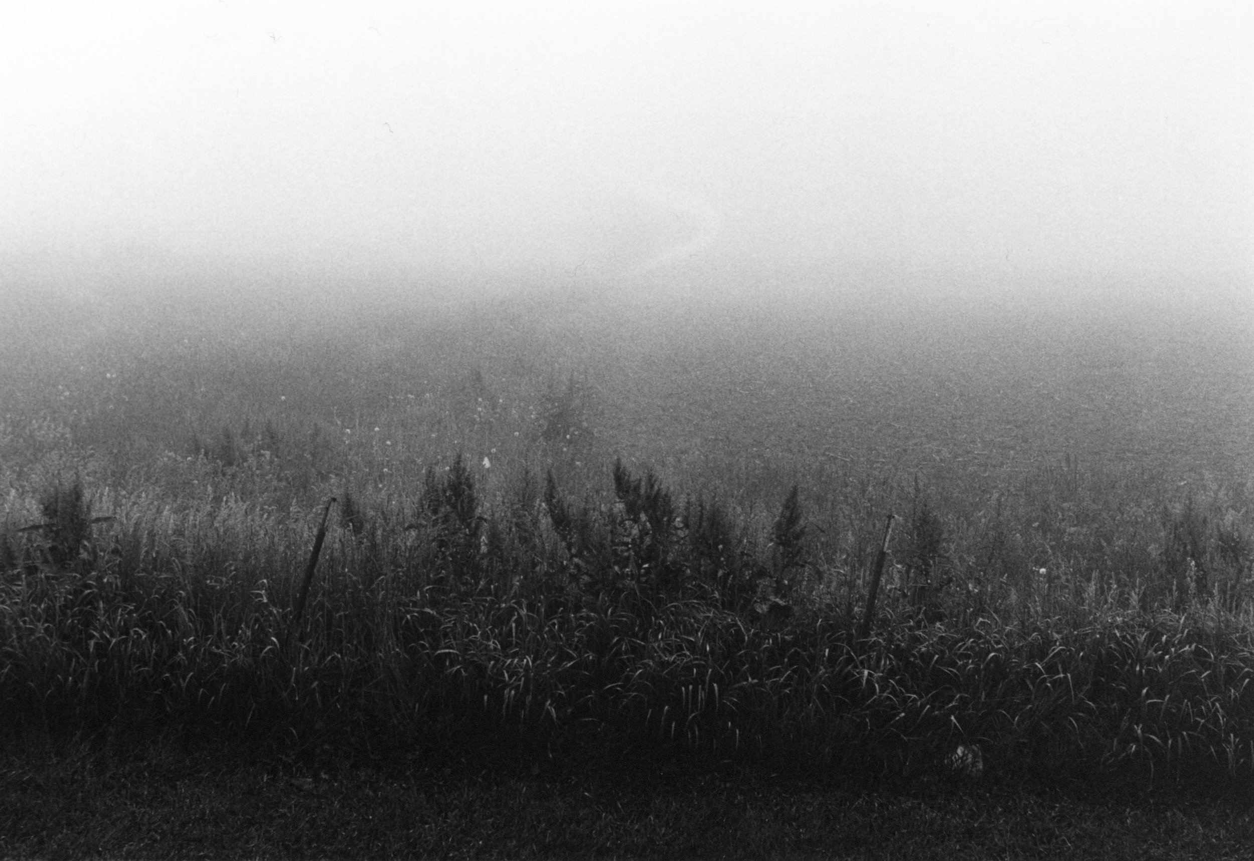 Foggy morning. Ames, Iowa.jpg