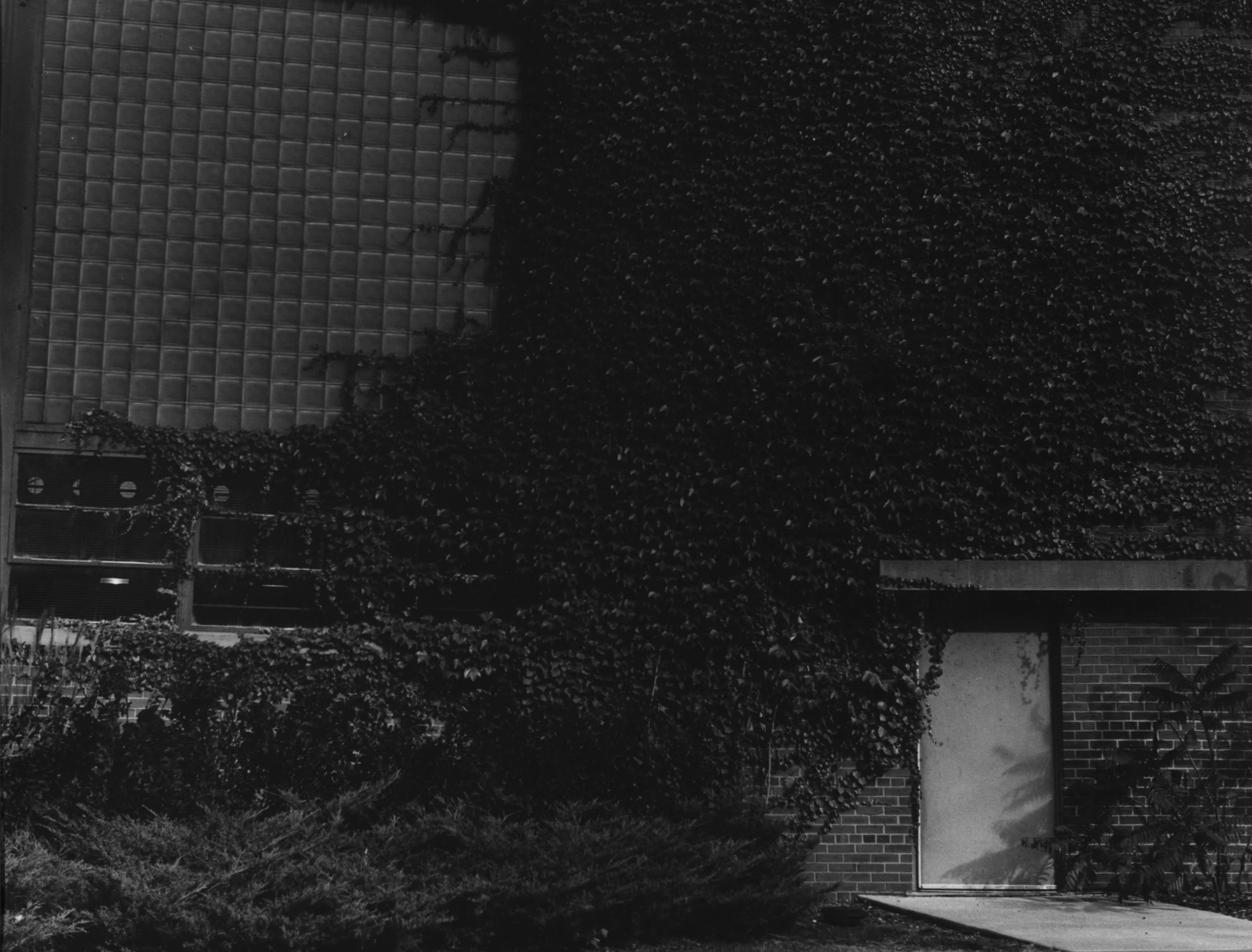 Abundance, Ames, Iowa, 2016