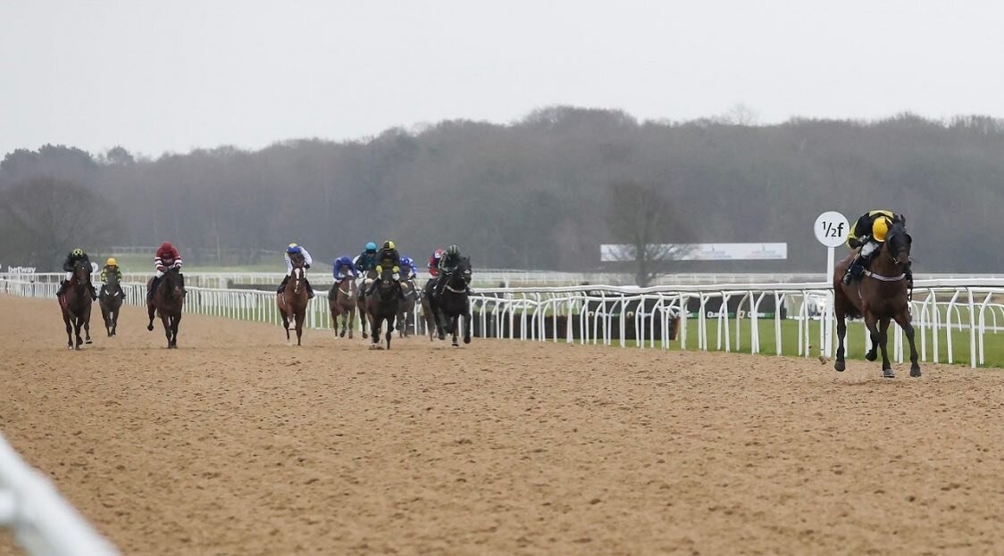 The Steward retires today safe and sound, he&rsquo;ll want for nothing at his new home under the care of our great friend Polly. A Cartmel Cup winner, however he&rsquo;ll best be remembered for his win below, attracting 7.9m views on YouTube. The Ste