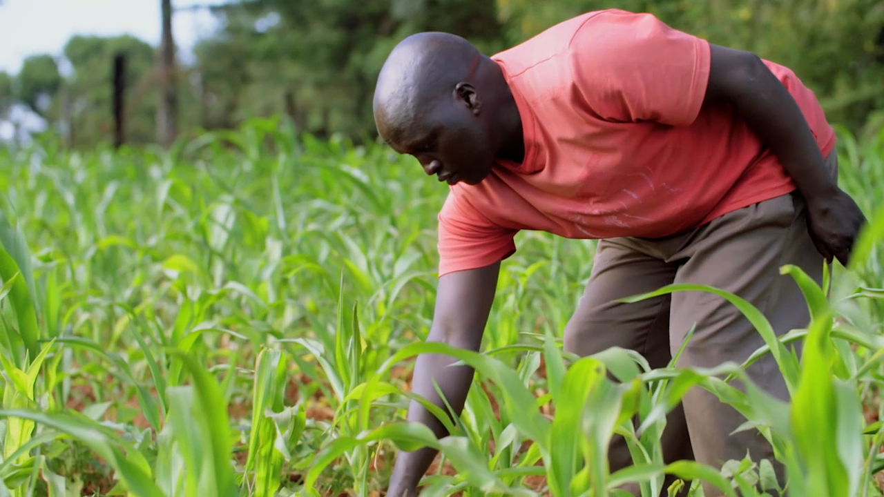 Feed the Flame: Kenya