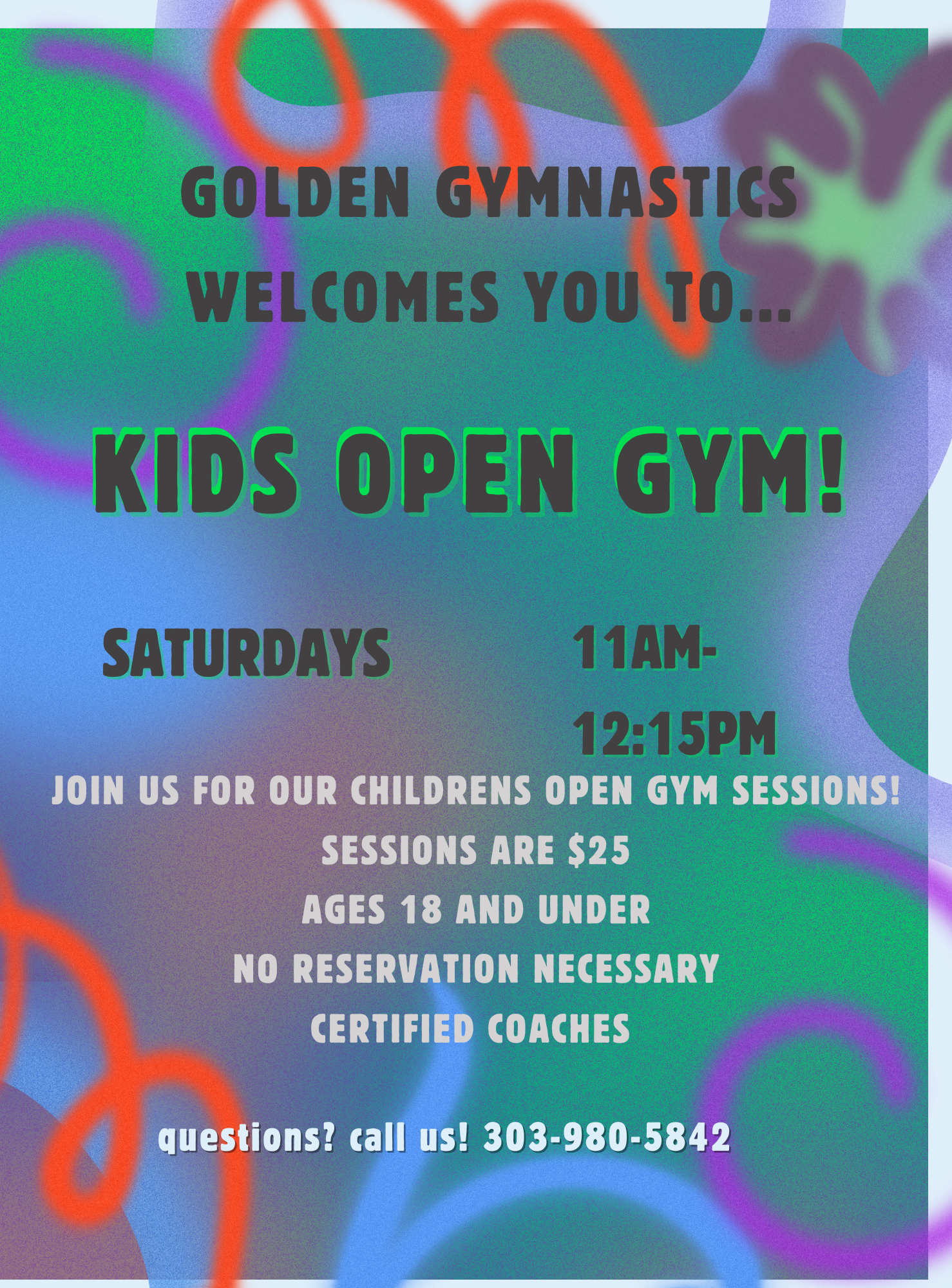 Kids Open Gyms